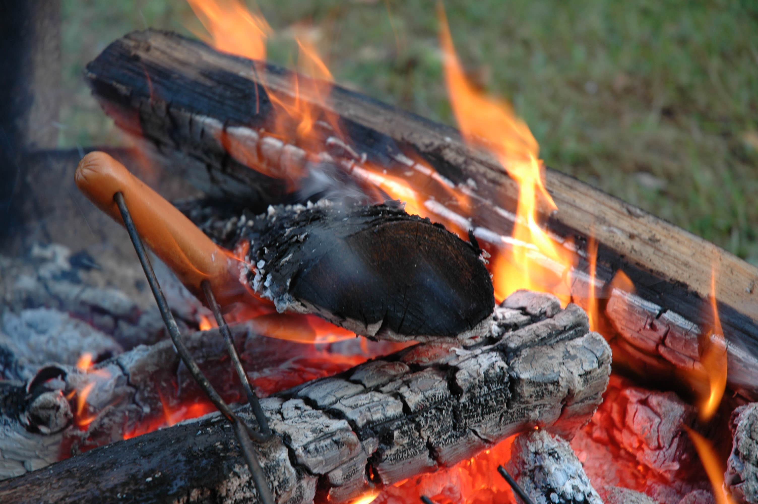 Camper submitted image from Marengo Cave Campgrounds - 5