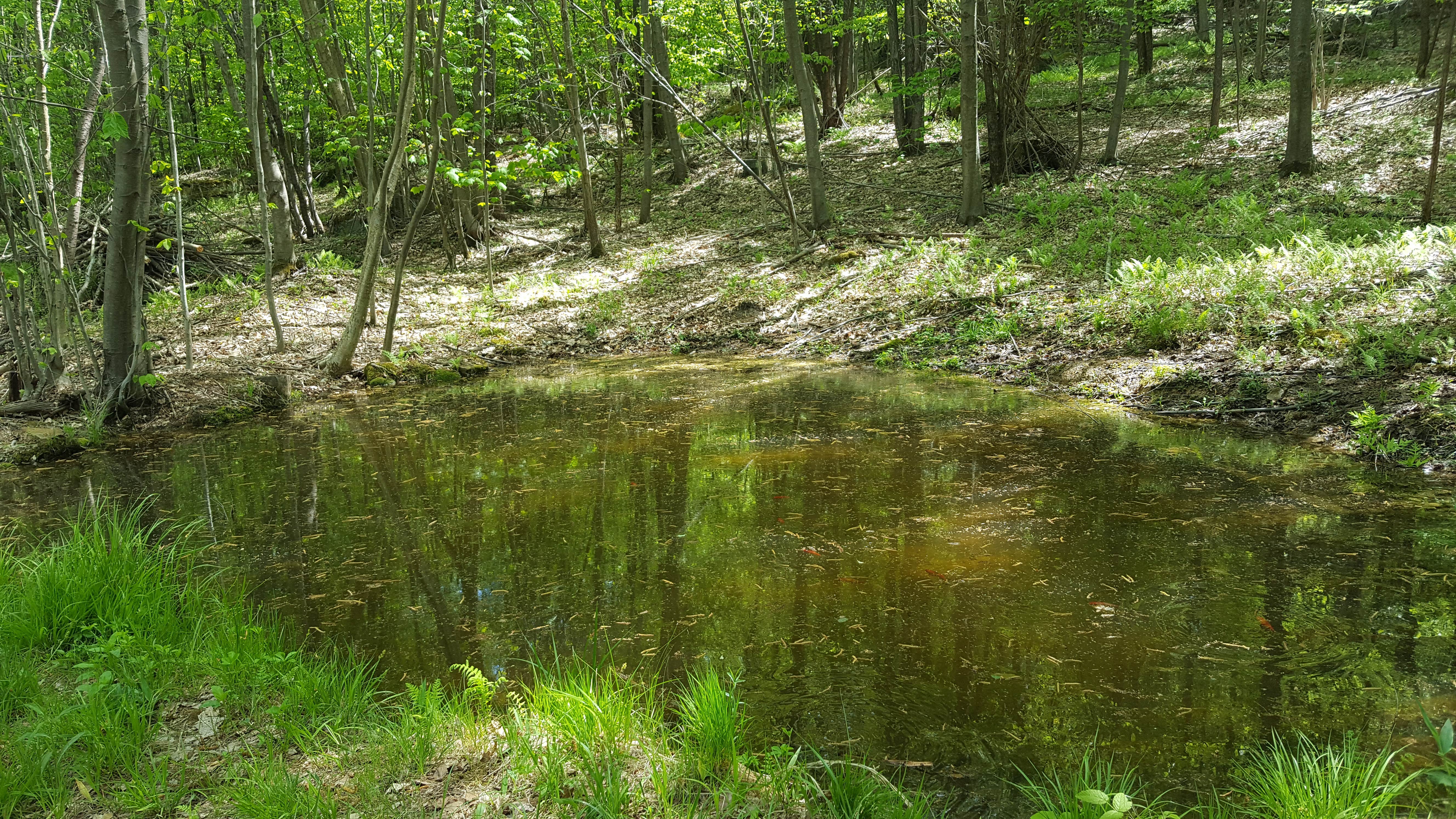 Camper-submitted photo at Clarion Heights near Ridgway, PA