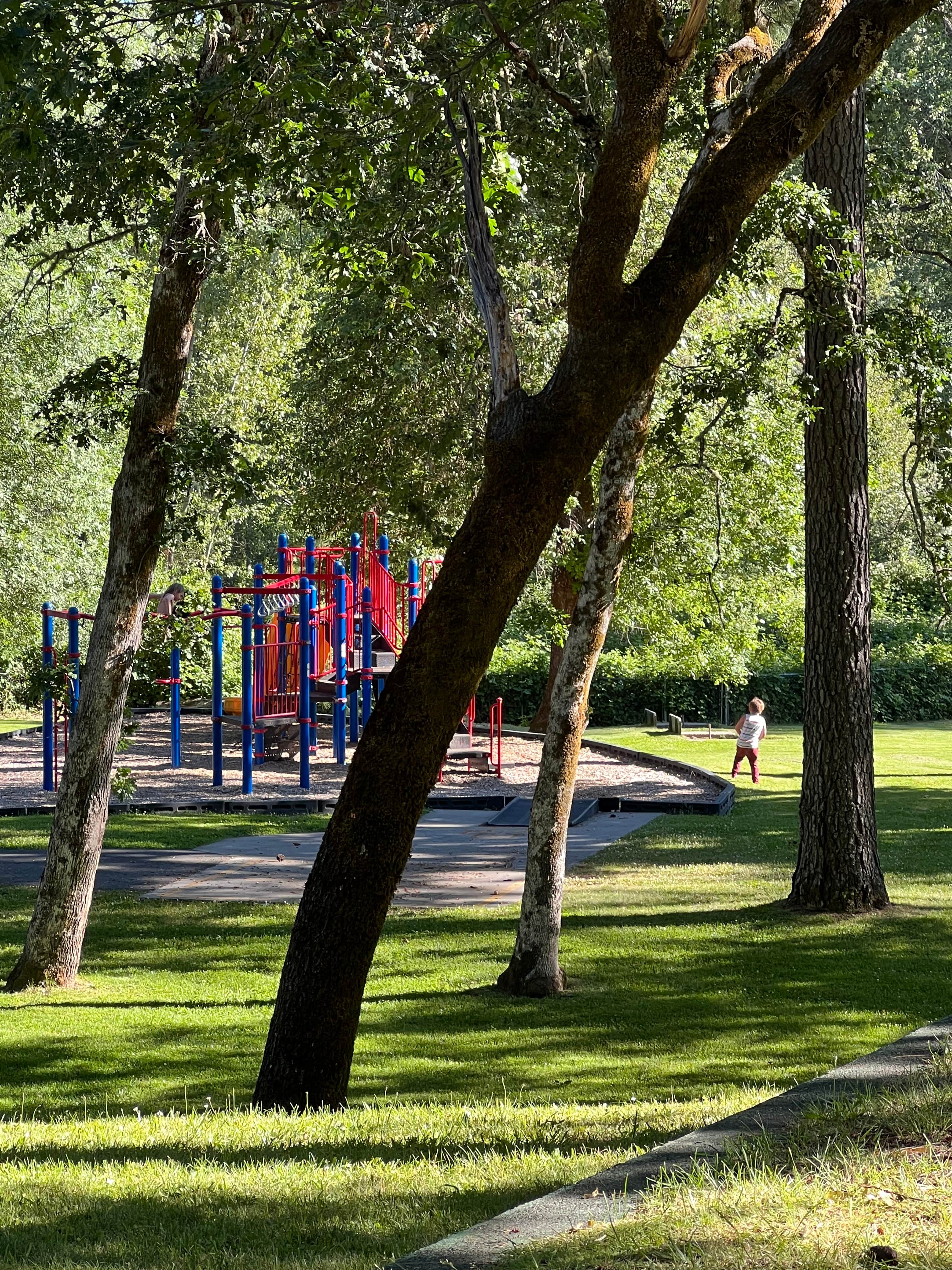 Camper-submitted photo at Whitehorse County Park near Glendale, OR