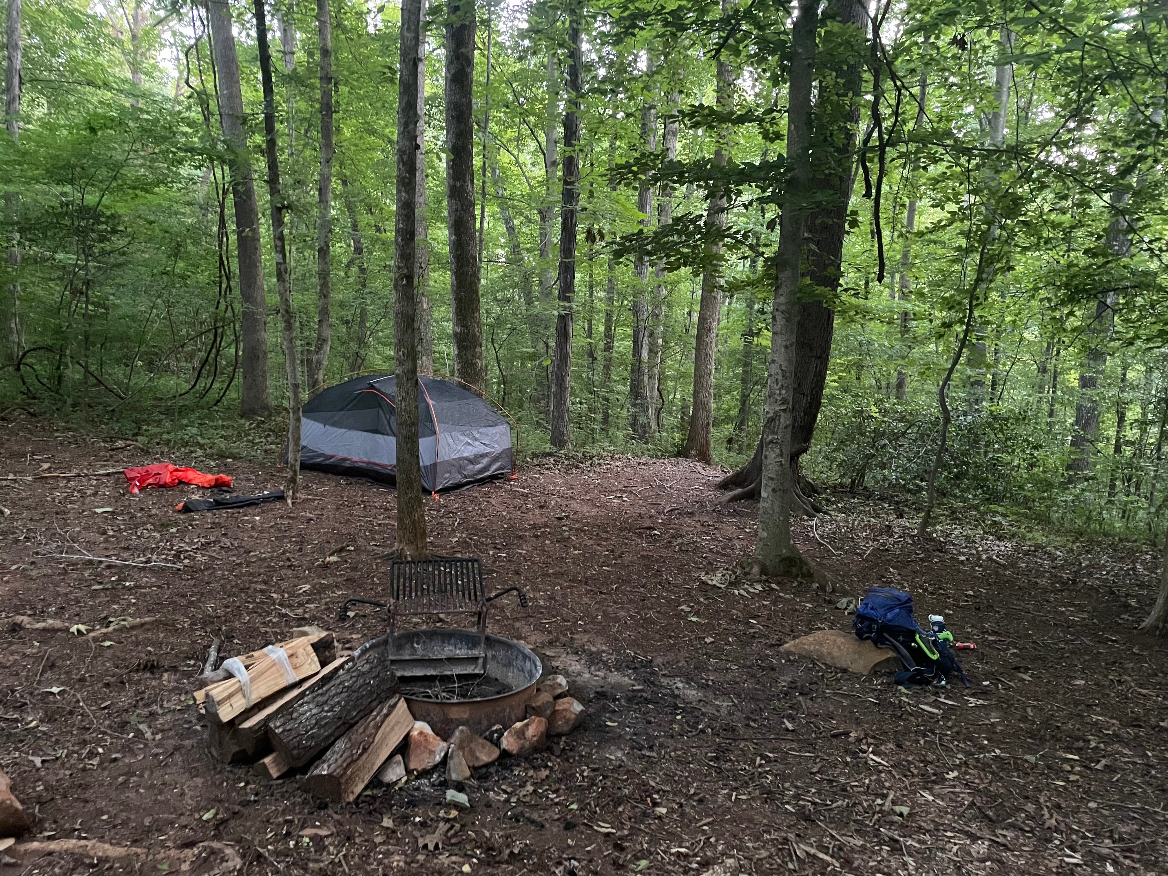 Camper submitted image from Shallow Ford Natural Area - 1