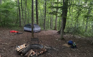 Camper-submitted photo from Shallow Ford Natural Area