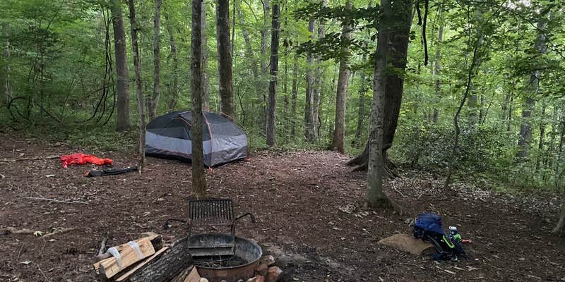 Camper submitted image from Shallow Ford Natural Area