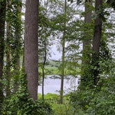 Review photo of Chickahominy Riverfront Park by Napunani , June 24, 2022