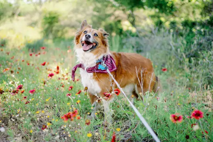 Camper-submitted photo at Wendelfull Life Ranch near Castell, TX