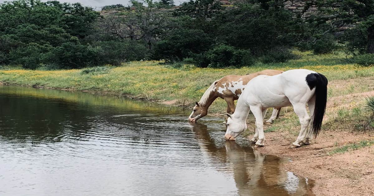 Wendelfull Life Ranch
