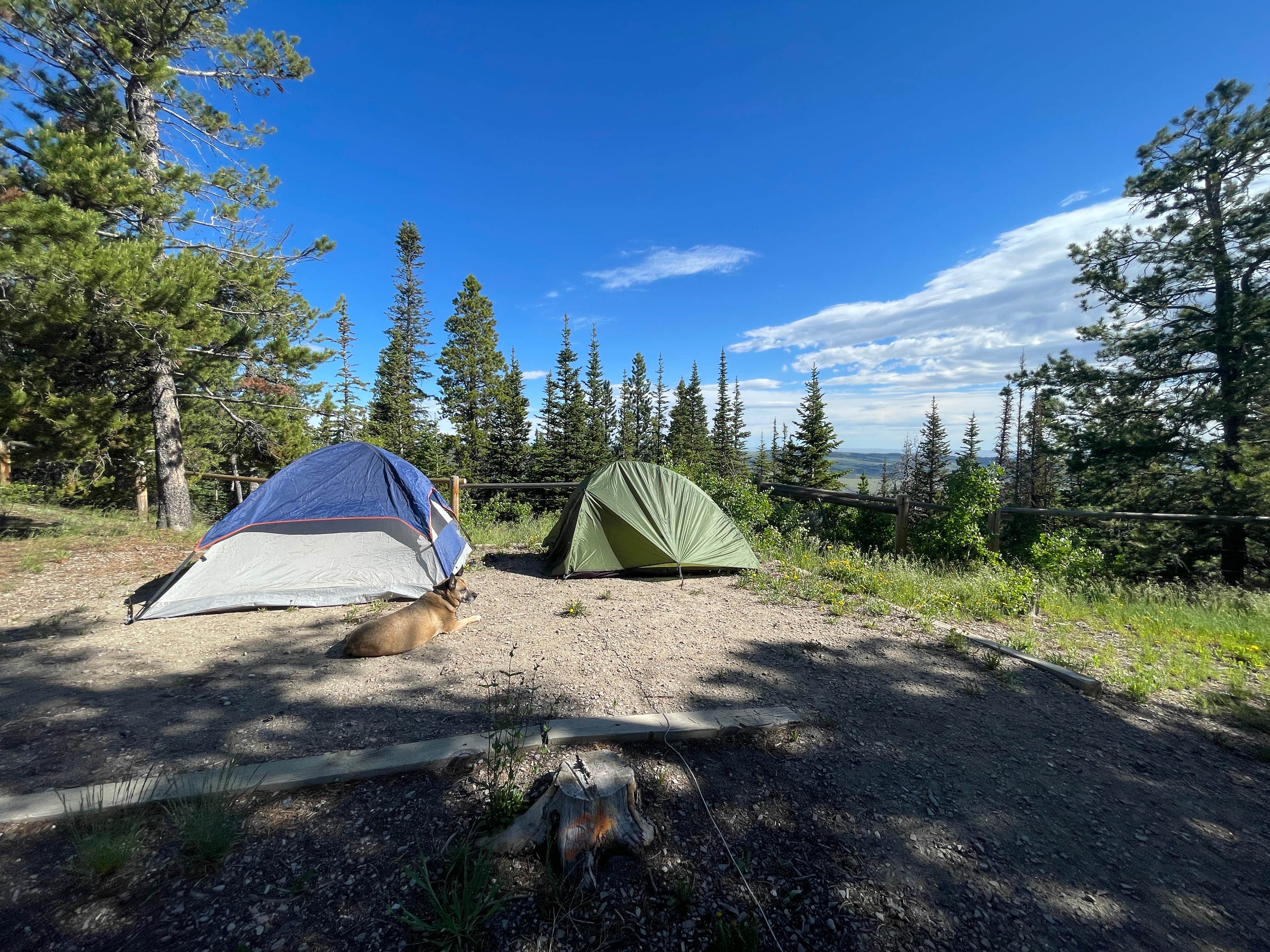 Camper-submitted photo at Rim Campground near Mills, WY