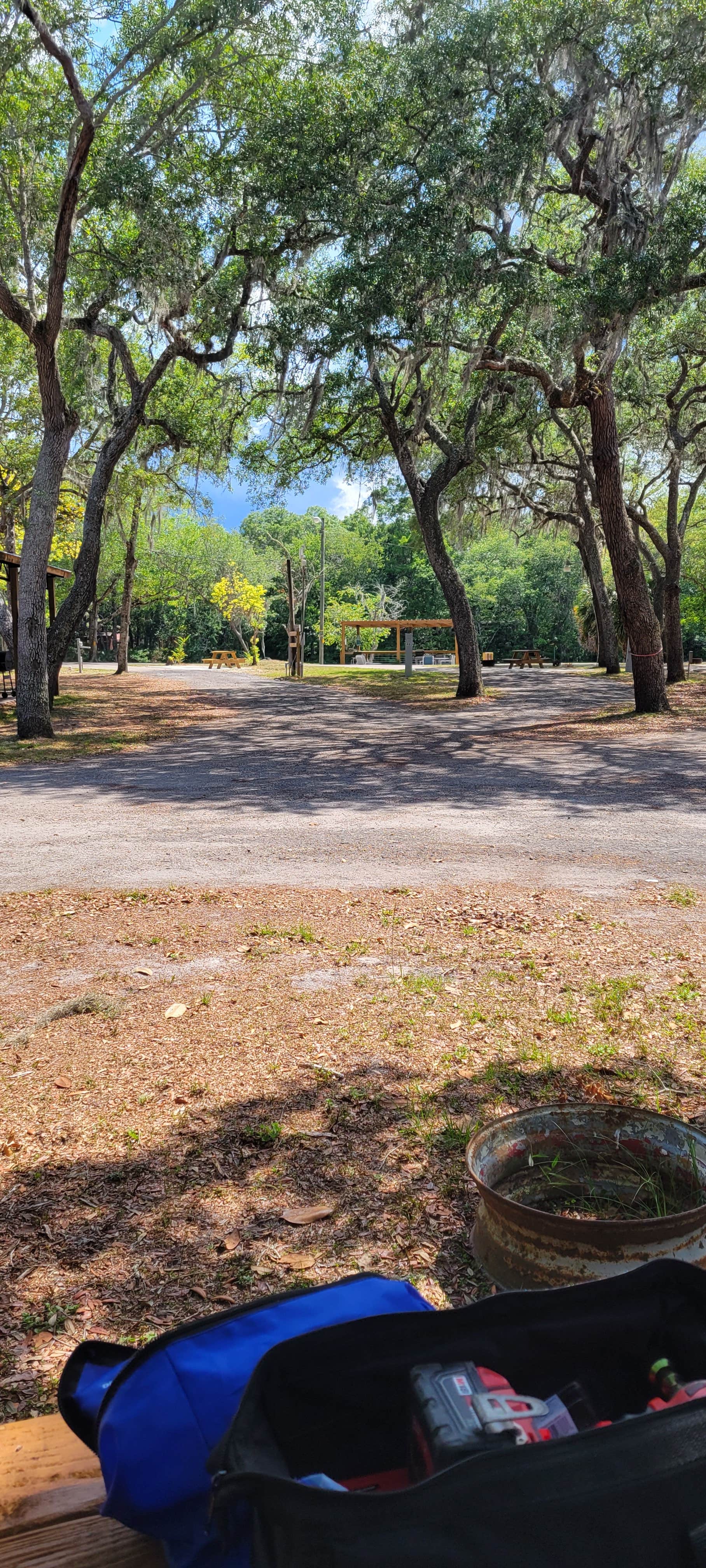 Camper-submitted photo at Suwannee River Bend RV Park near Trenton, FL