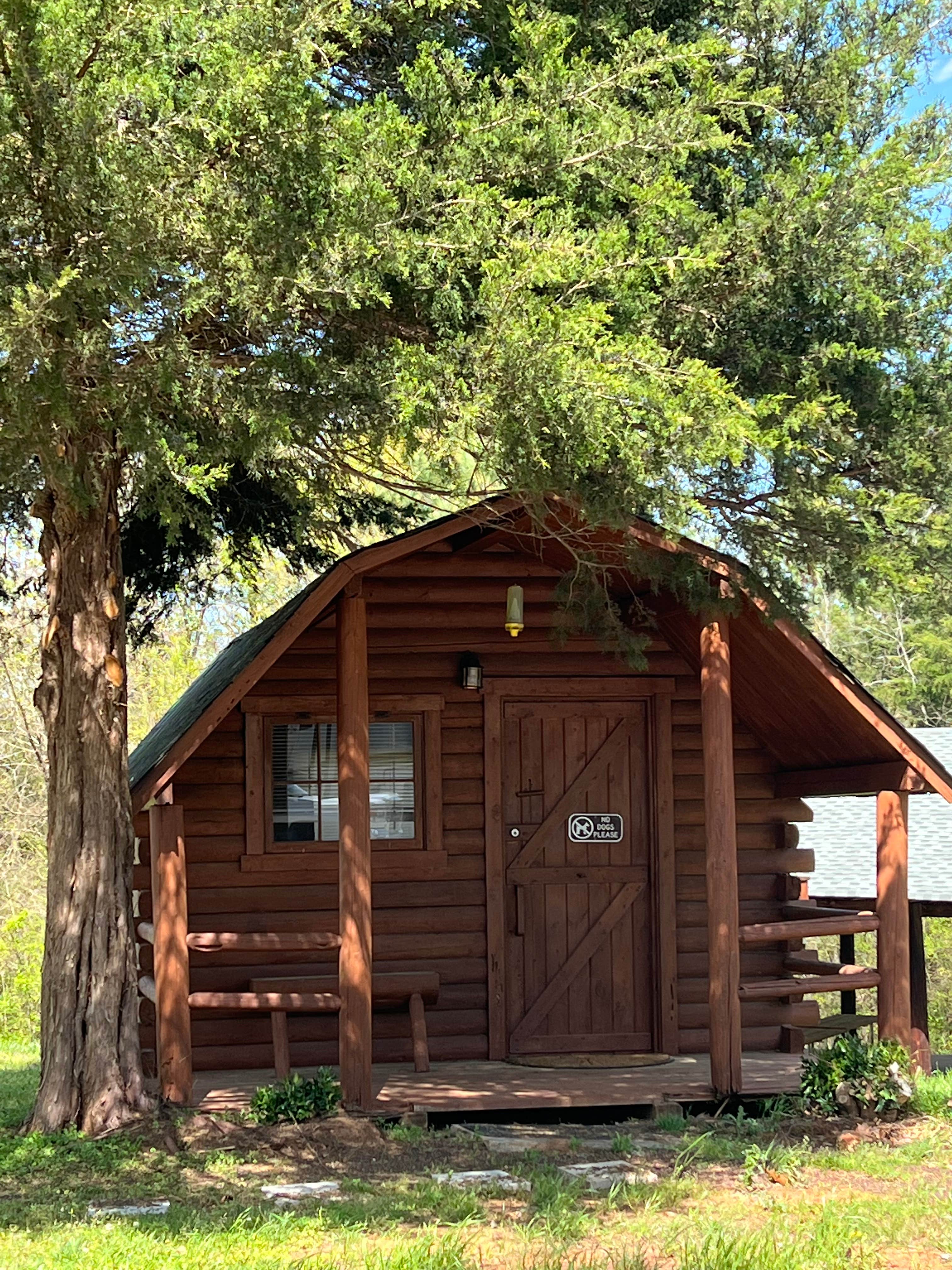 Olivia C.'s photo of a cabin at Commerce / Athens KOA Journey near Maxeys, GA