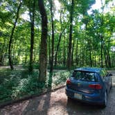 Review photo of Haw Creek Falls Camping by Alex M., June 24, 2022