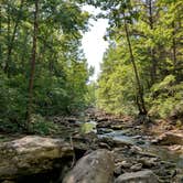 Review photo of Haw Creek Falls Camping by Alex M., June 24, 2022