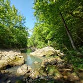 Review photo of Haw Creek Falls Camping by Alex M., June 24, 2022