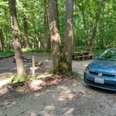 Review photo of Haw Creek Falls Camping by Alex M., June 24, 2022