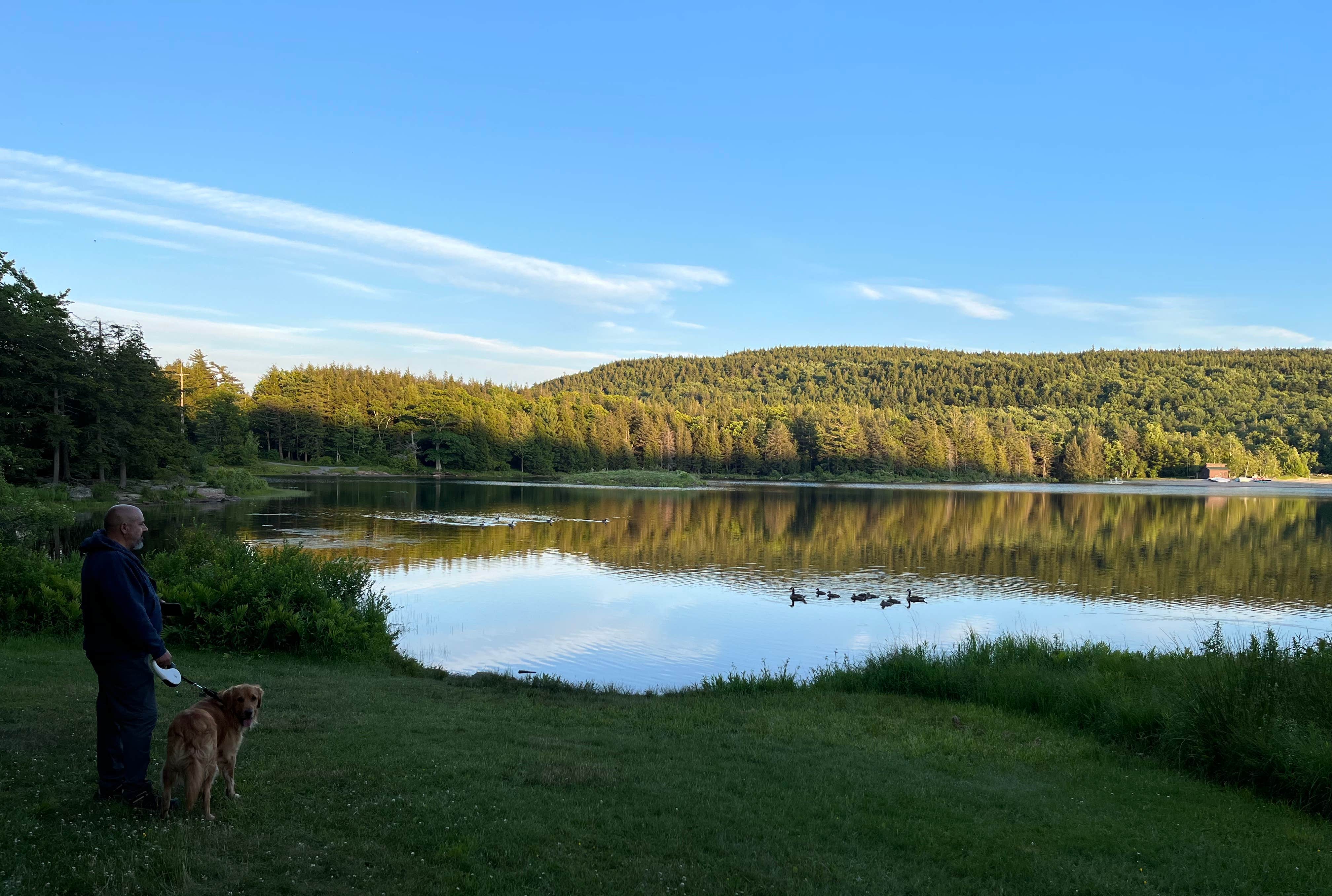 Linda O.'s photo of camping with pets at North-South Lake Campground near Rhinebeck, NY