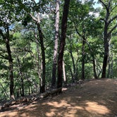 Review photo of Andy Guest/Shenandoah River State Park Campground by Linda O., June 24, 2022