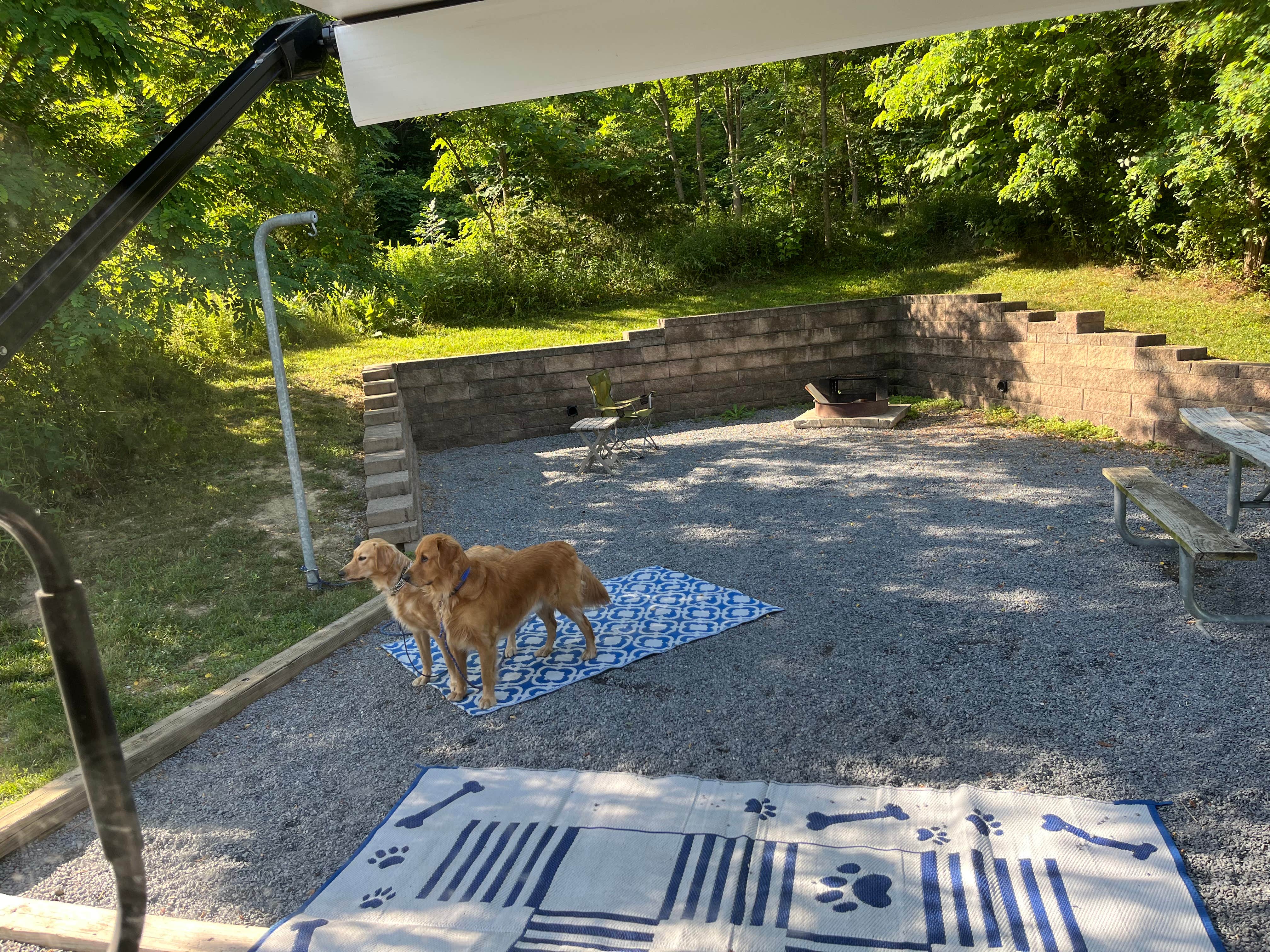 Linda O.'s photo of camping with pets at Andy Guest/Shenandoah River State Park Campground near Luray, VA
