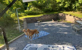 Linda O.'s photo of camping with pets at Andy Guest/Shenandoah River State Park Campground in Virginia