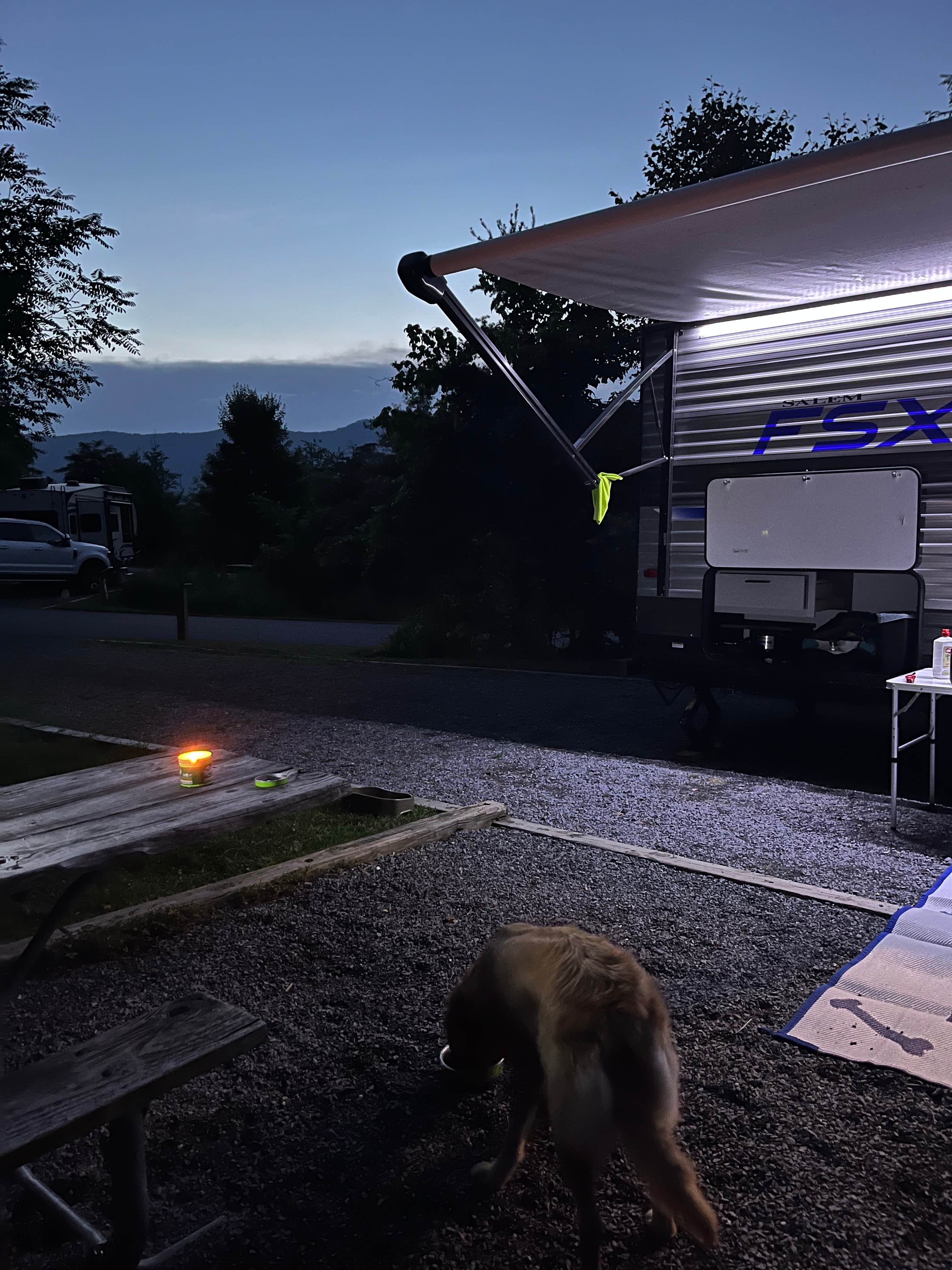 Linda O.'s photo of camping with pets at Andy Guest/Shenandoah River State Park Campground near Bentonville, VA