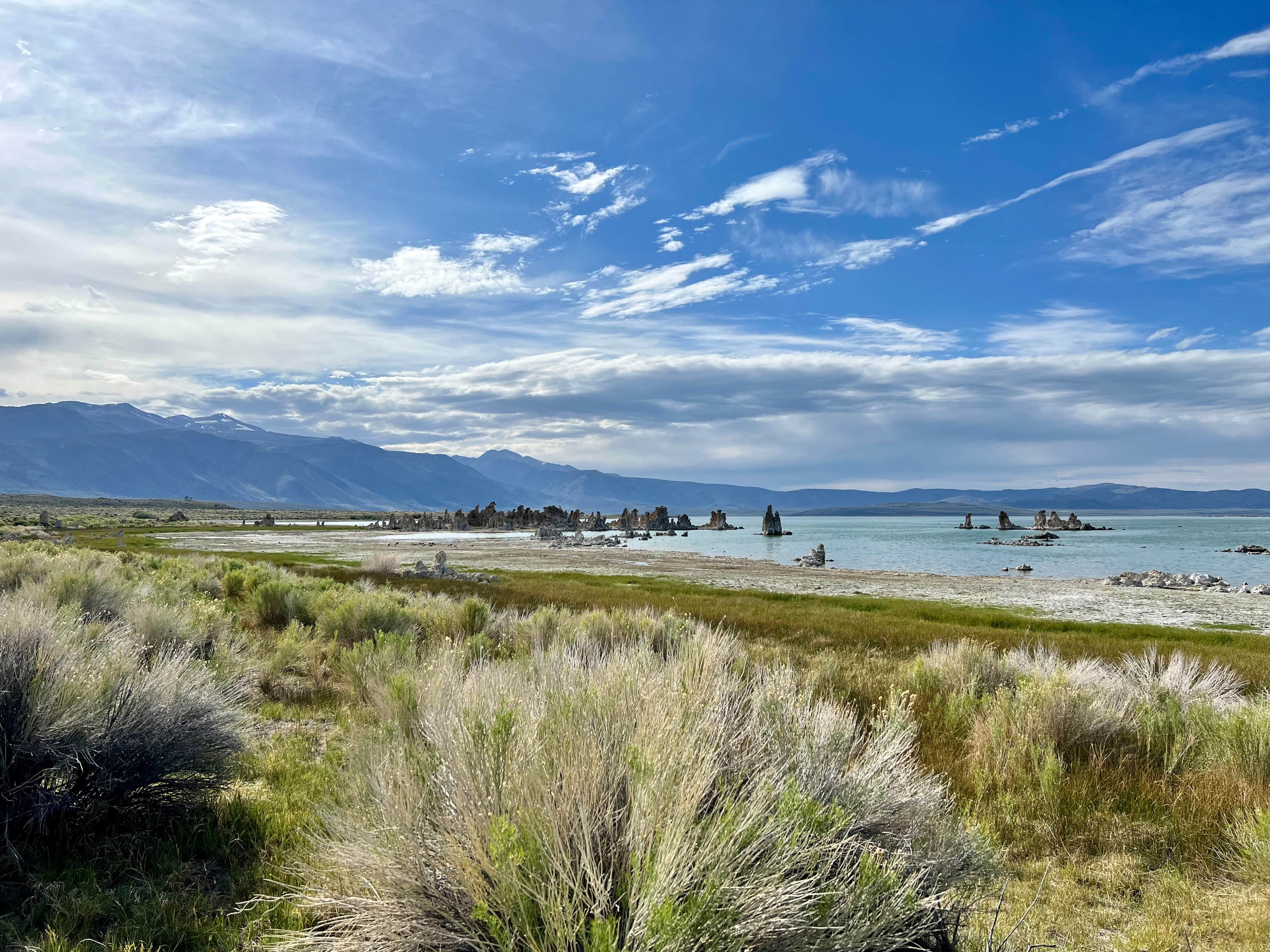 Mono Lake South Dispersed