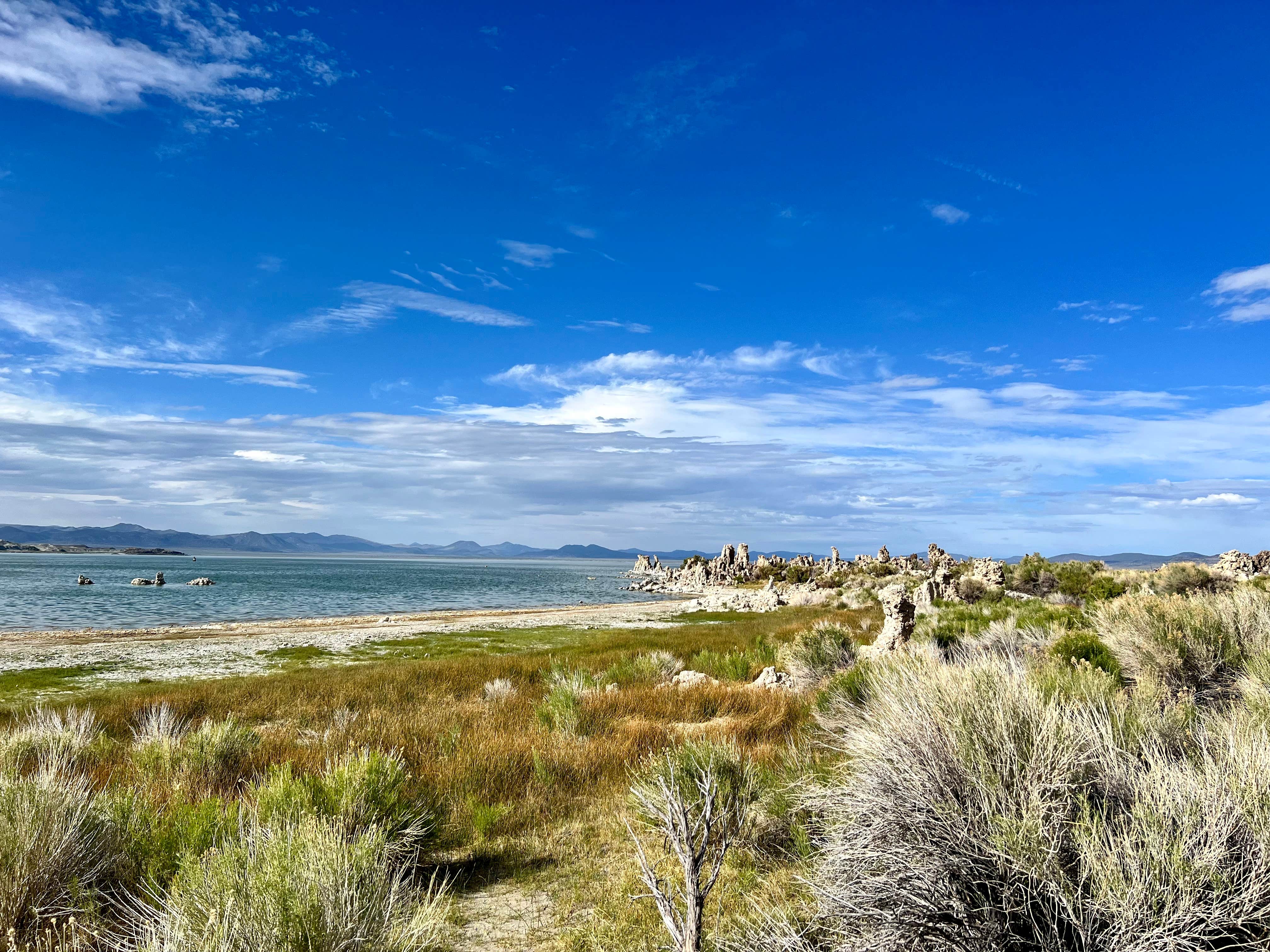 Mono Lake South Dispersed
