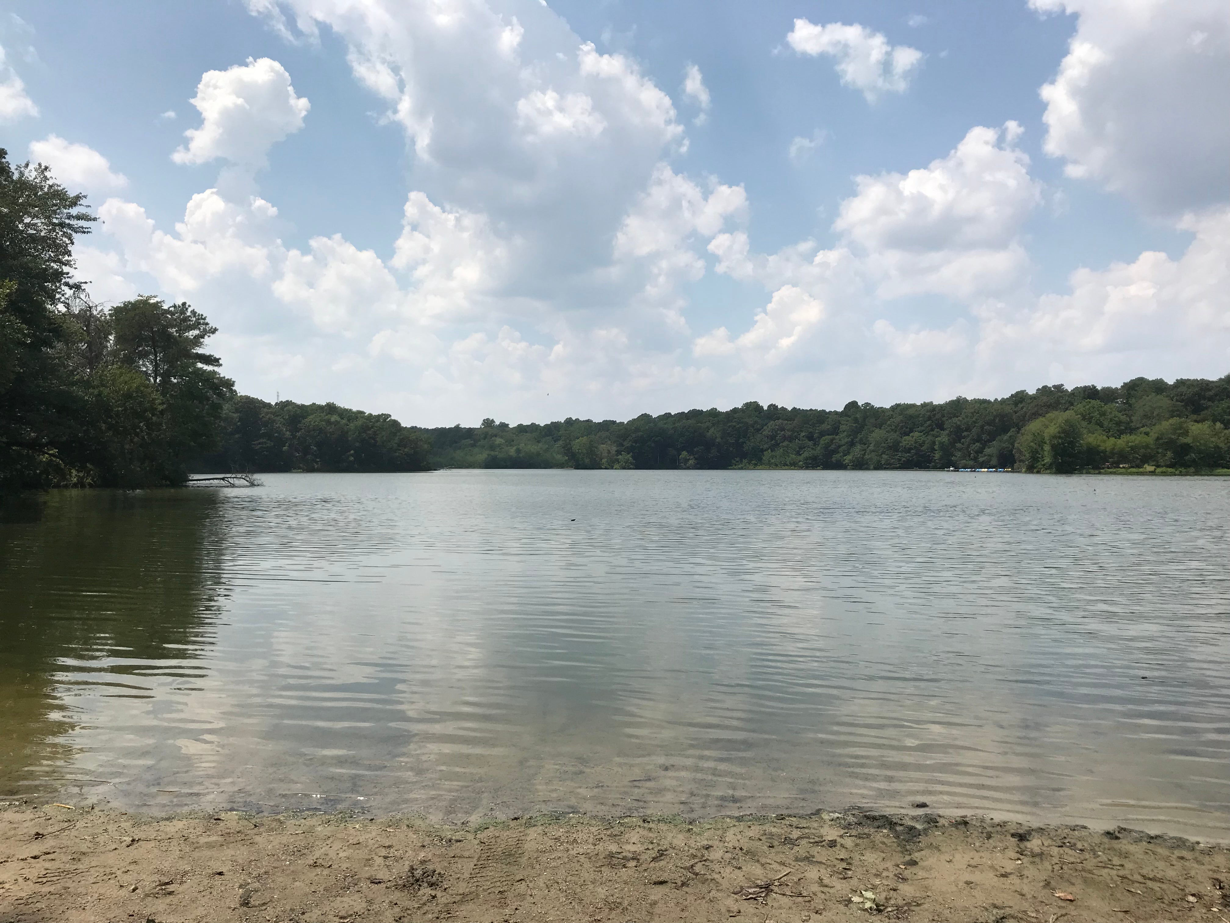 Camper submitted image from Killens Pond State Park - 2