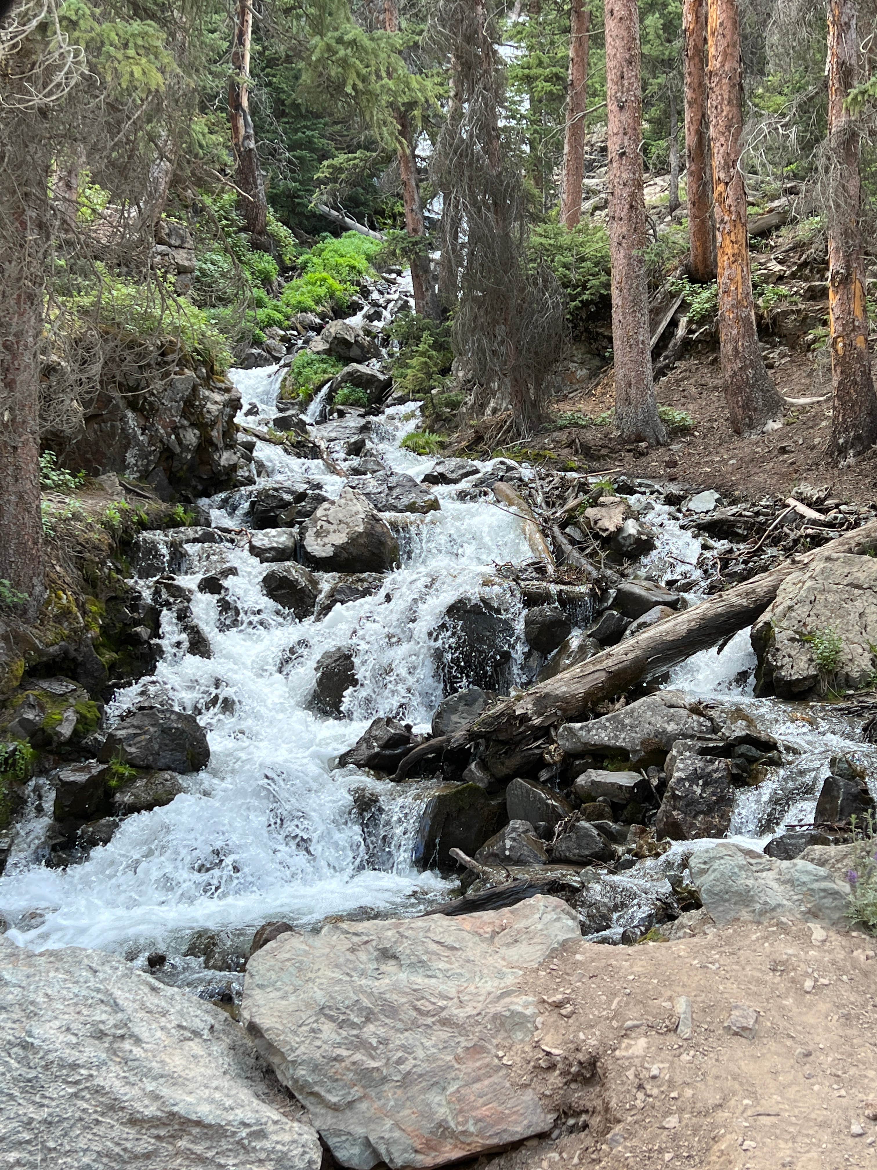 Camper-submitted photo at Mill Creek near Black Canyon of the Gunnison National Park