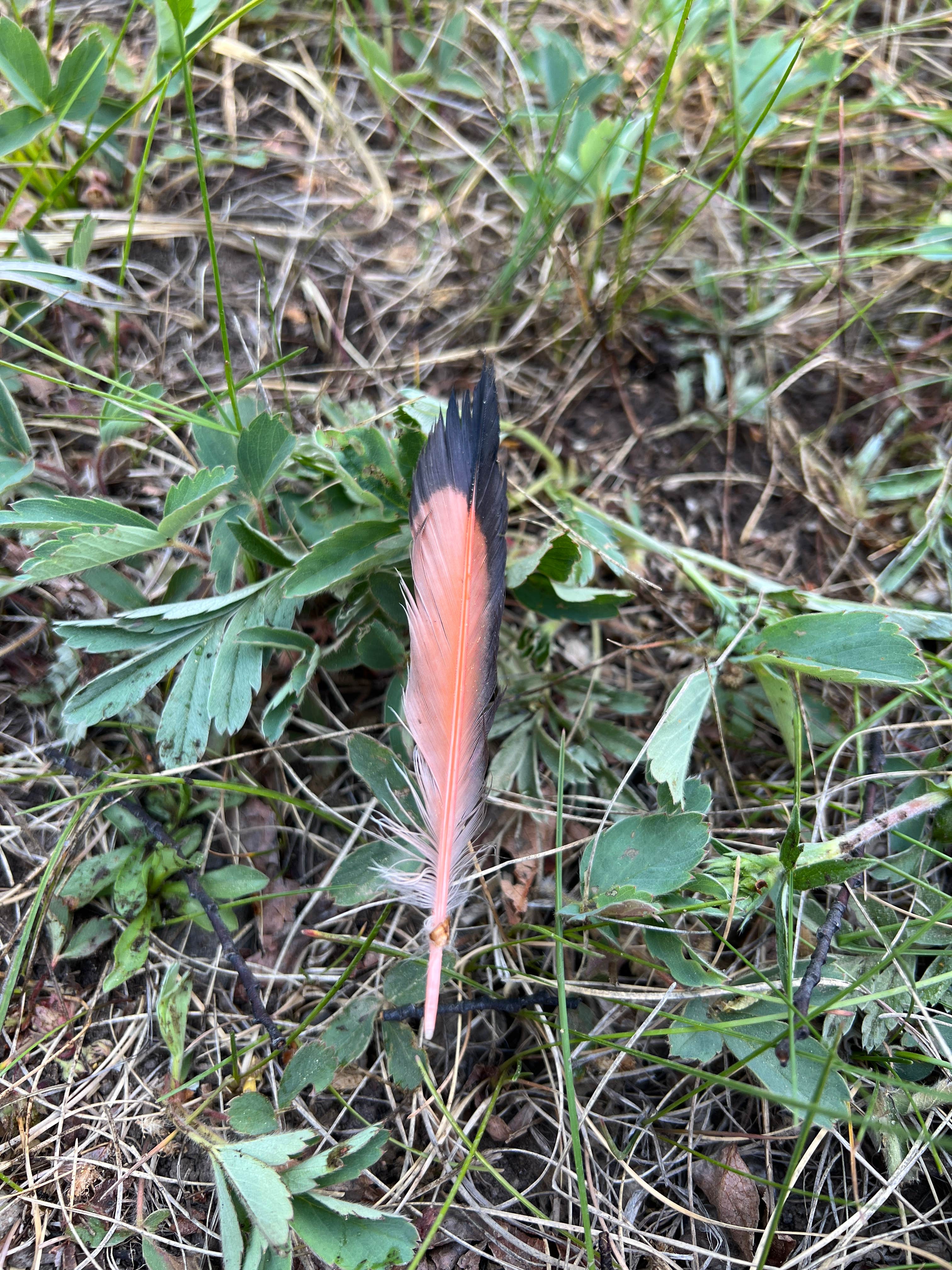 Camper-submitted photo at Mill Creek near Black Canyon of the Gunnison National Park