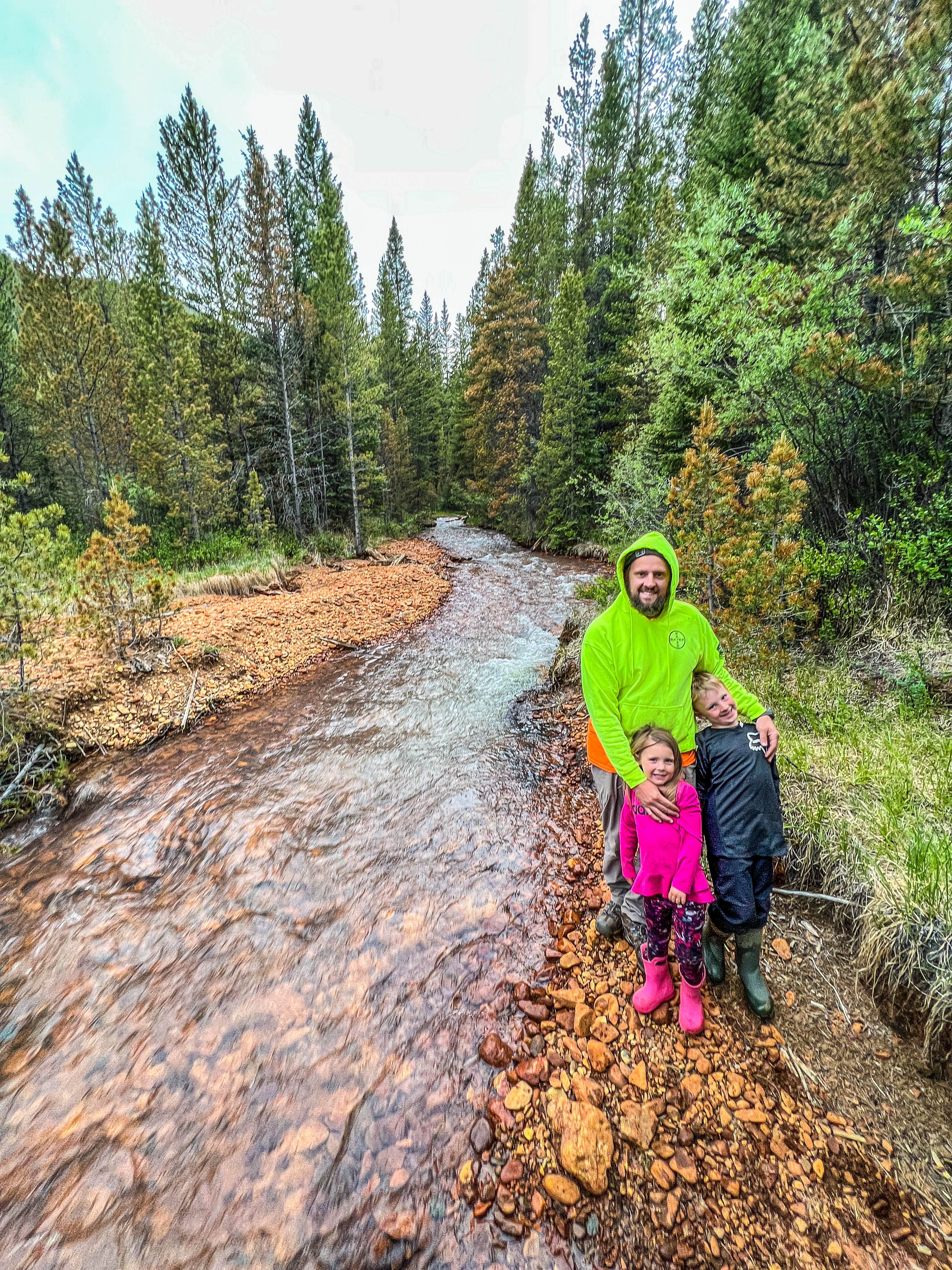 Camper submitted image from Pike National Forest Handcart Campground - 4