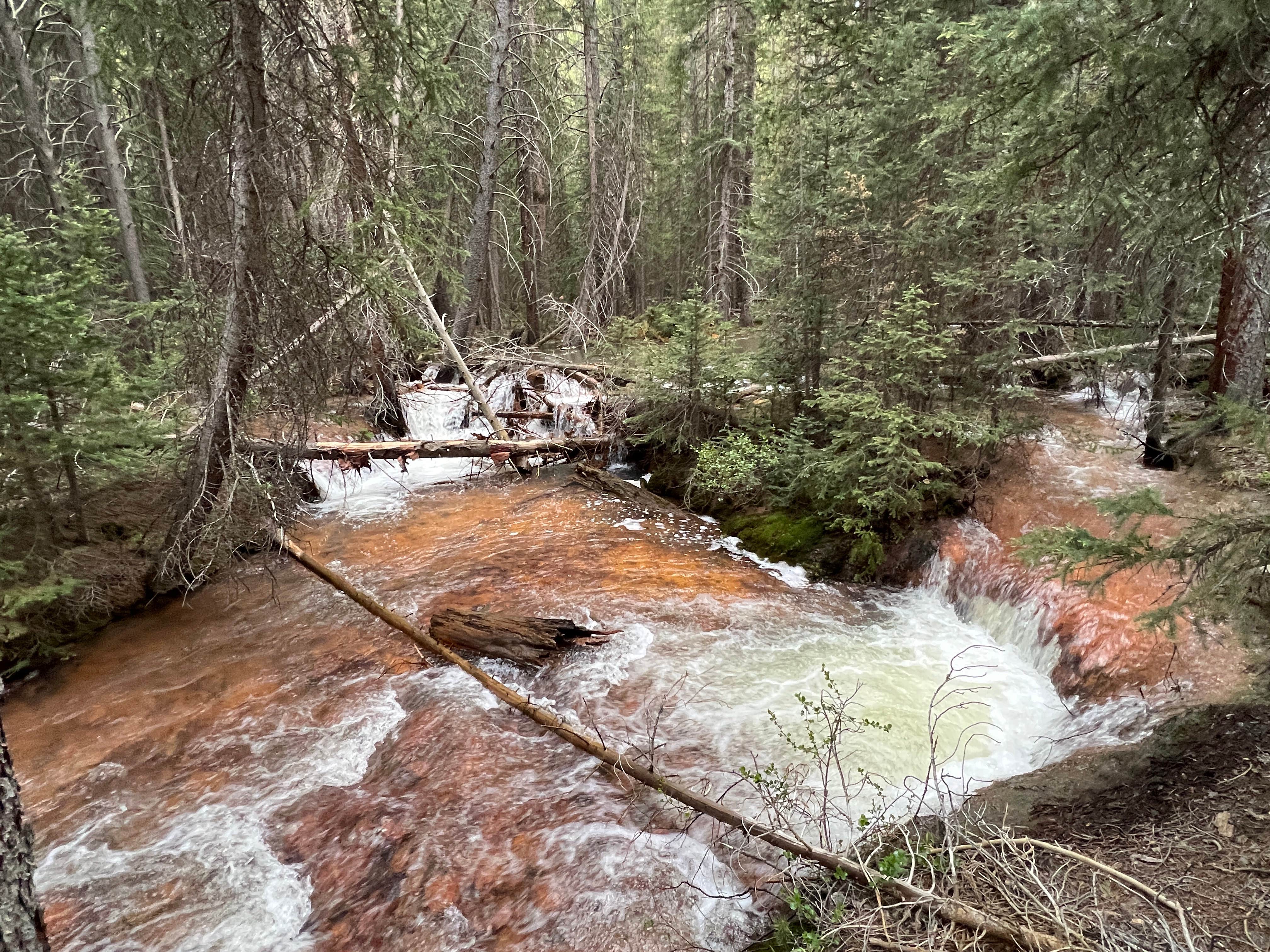 Camper submitted image from Pike National Forest Handcart Campground - 4