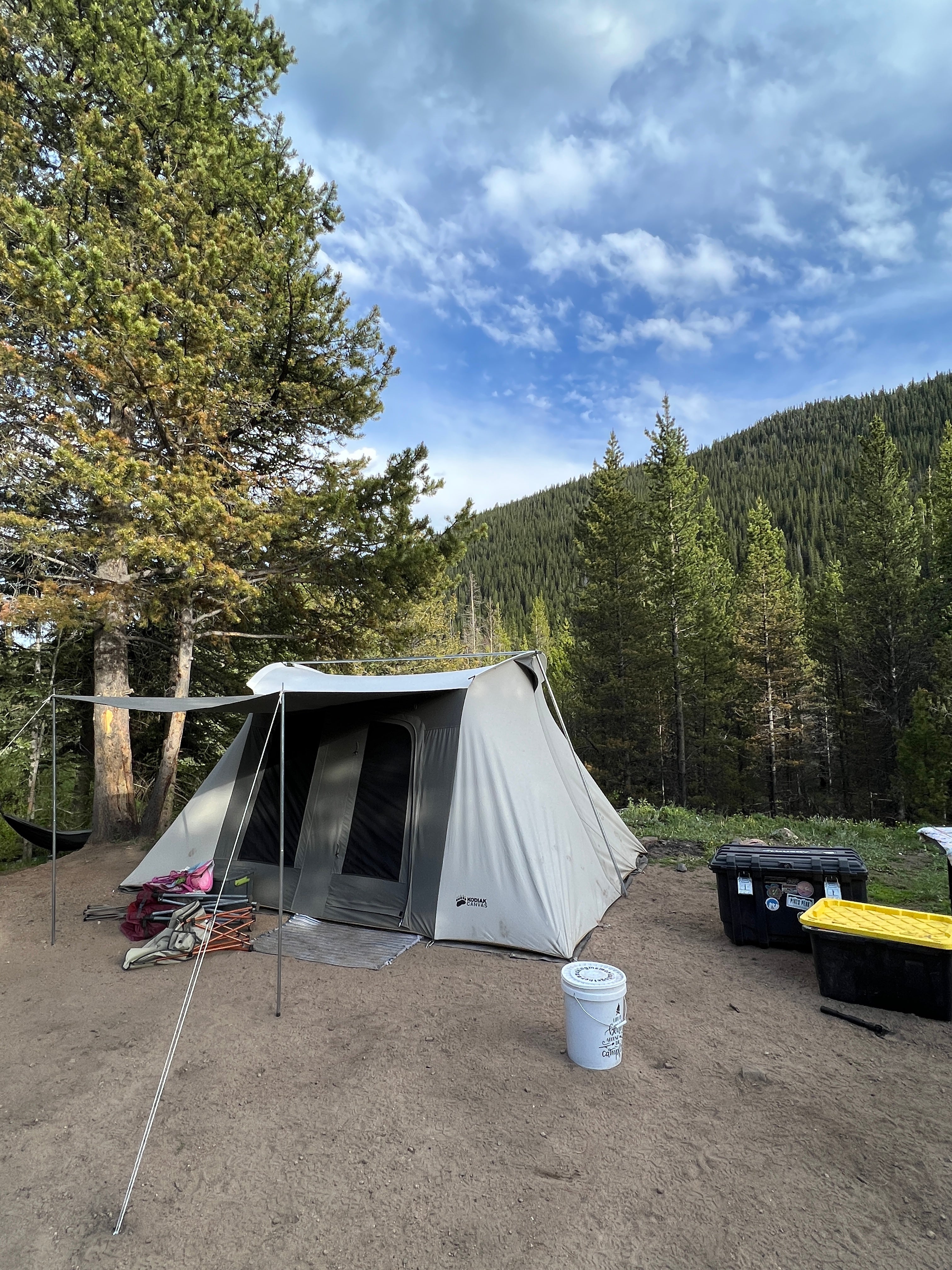 Camper submitted image from Pike National Forest Handcart Campground - 1