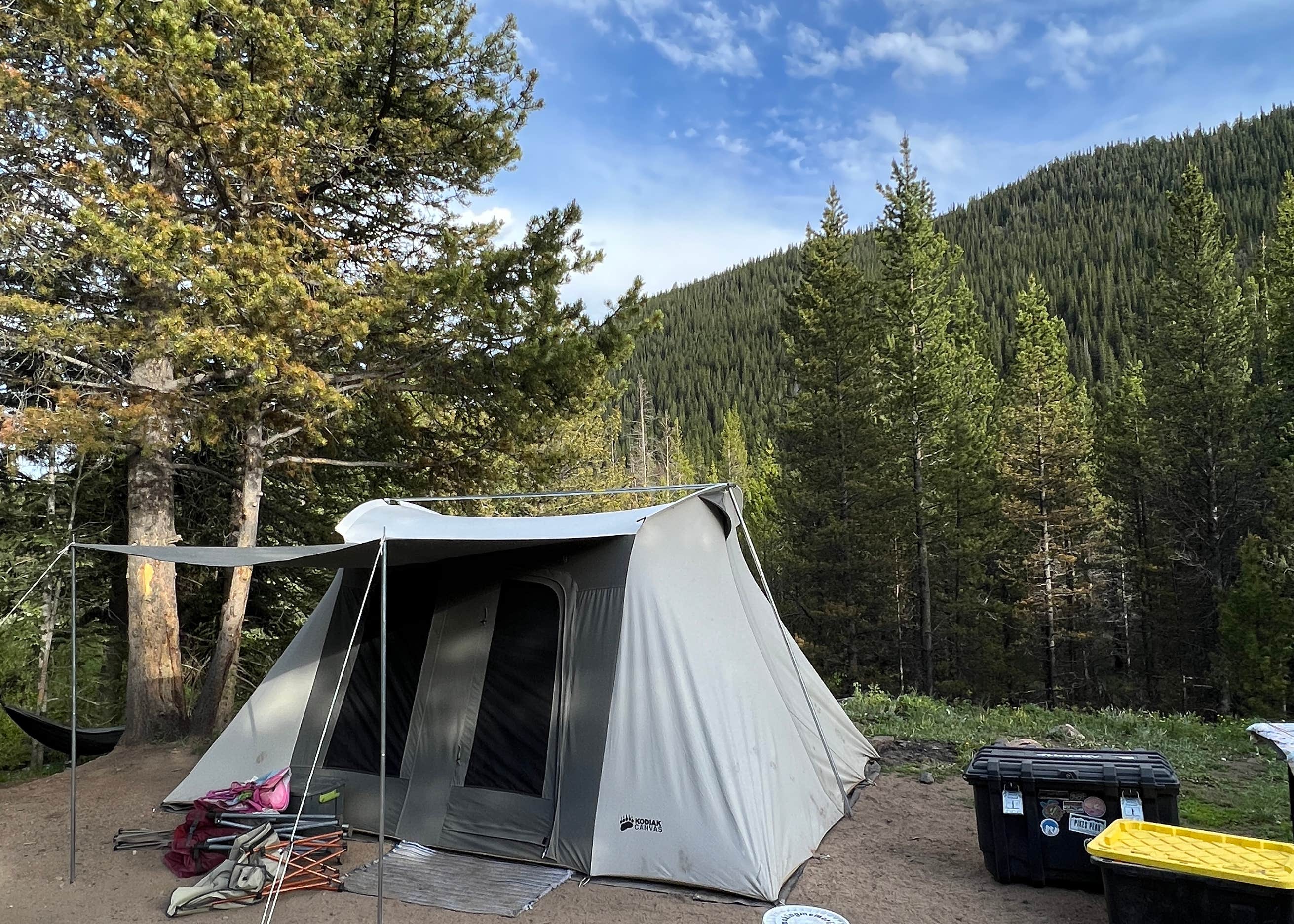 Pike National Forest Handcart Campground Camping The Dyrt