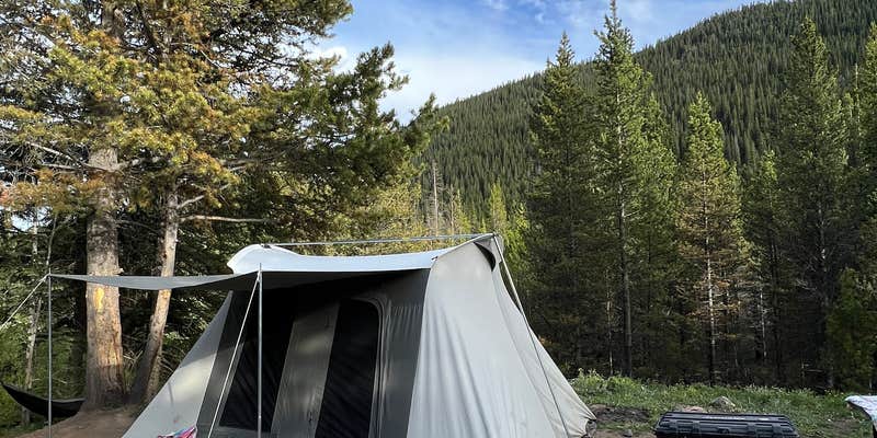 Camper submitted image from Pike National Forest Handcart Campground