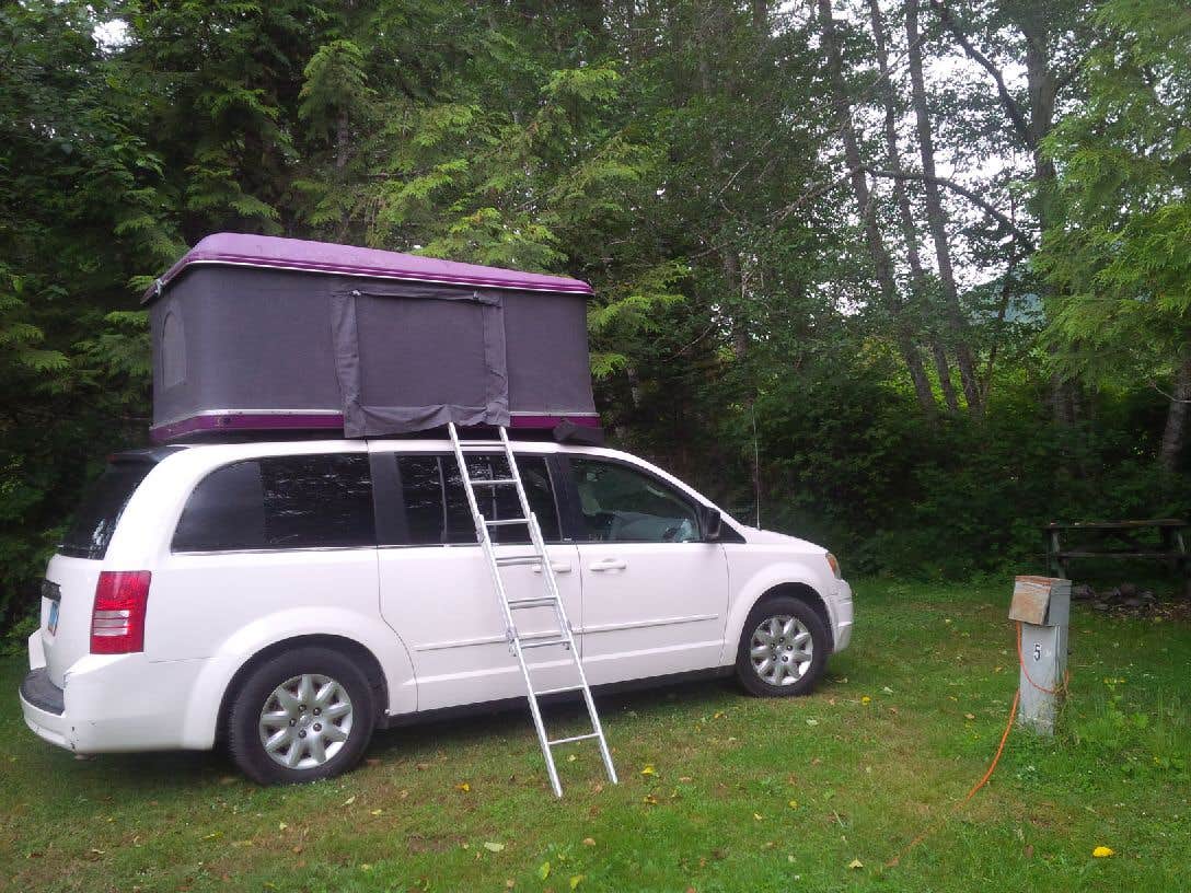 Camper submitted image from Hard Rain Cafe and RV Park - 2