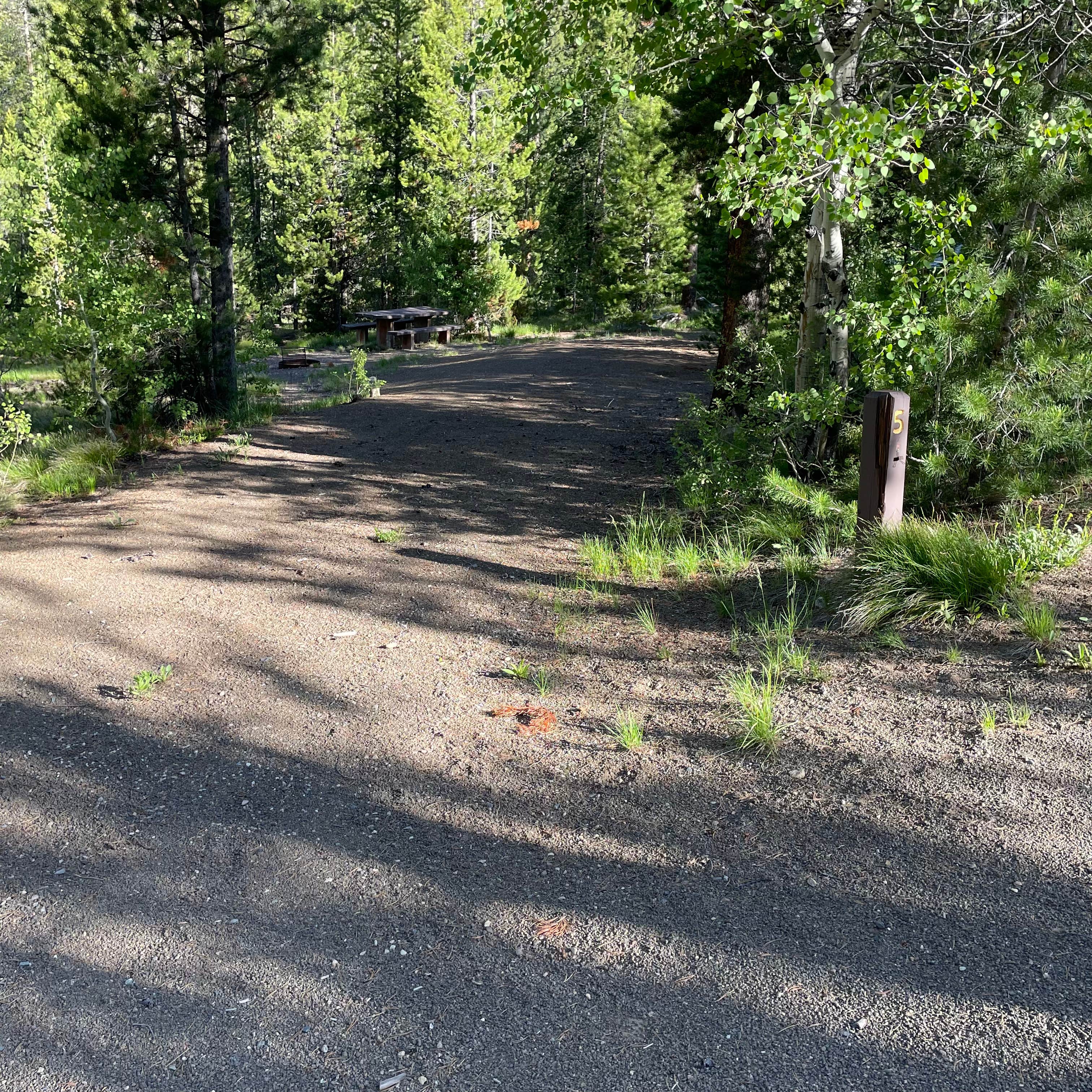Camping near Blind Creek Campground: Pole Flat Campground, Stanley, Idaho