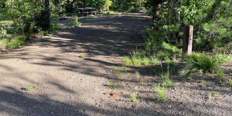 Camper submitted image from Pole Flat Campground