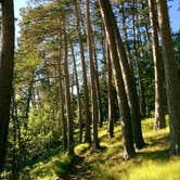 Review photo of Bear Paw Campground — Itasca State Park by Krista T., July 16, 2018