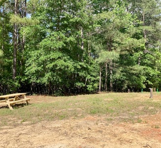 Camper-submitted photo from Blythewood Acres