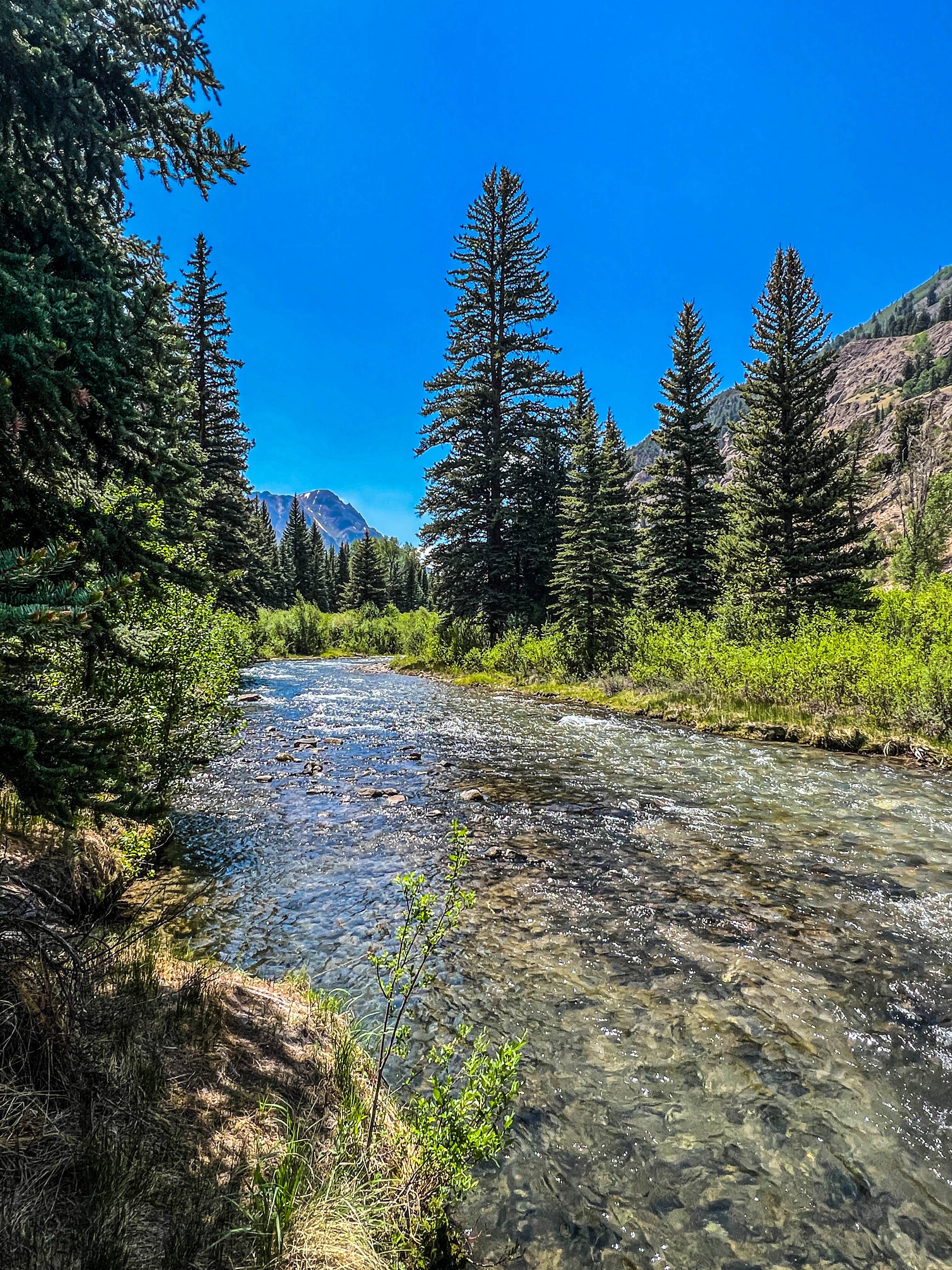 Camper-submitted photo at Mill Creek near Black Canyon of the Gunnison National Park
