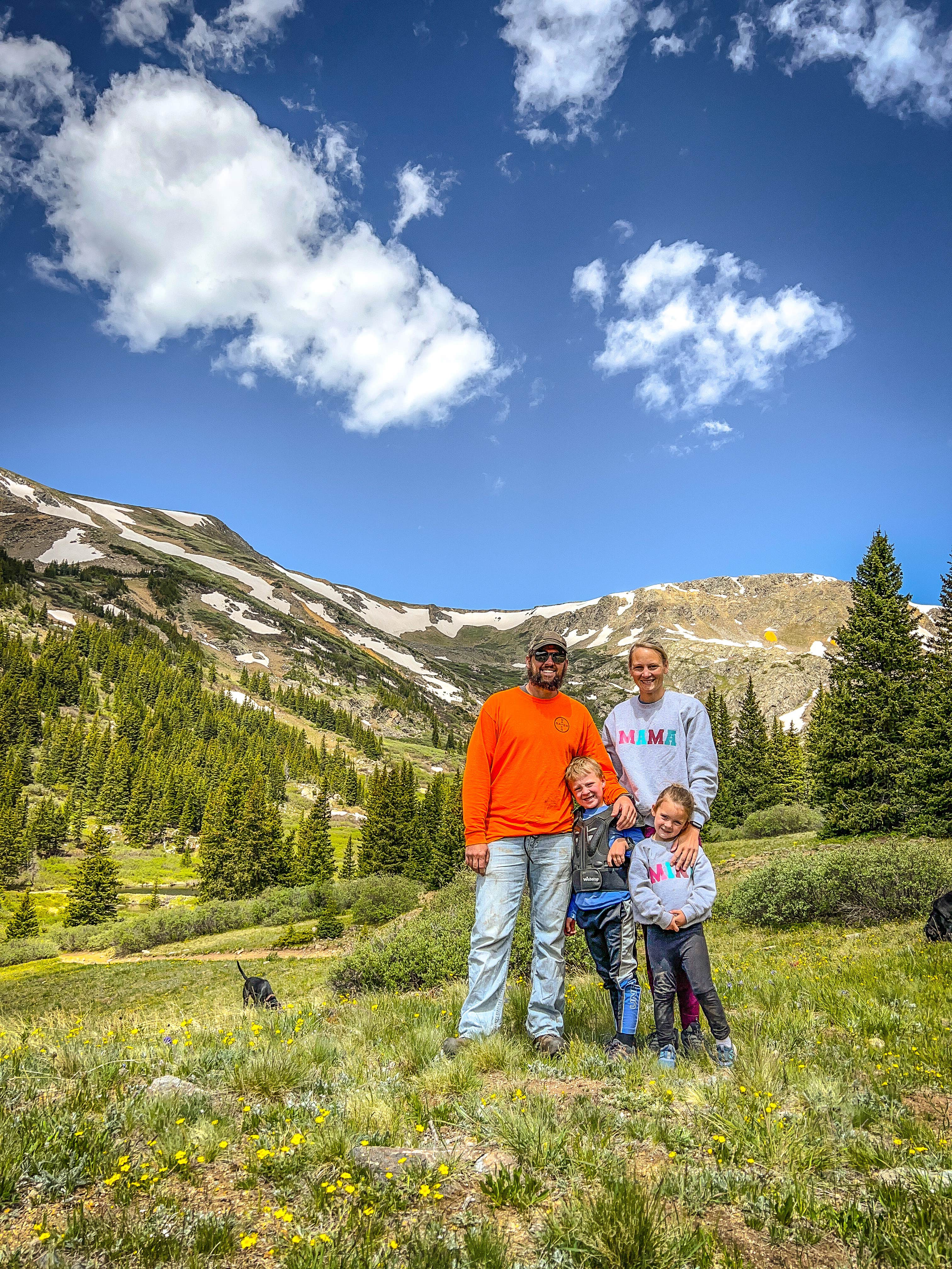 Camper submitted image from Pike National Forest Handcart Campground - 2