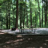 Review photo of Standing Indian Campground by Asher K., July 26, 2016