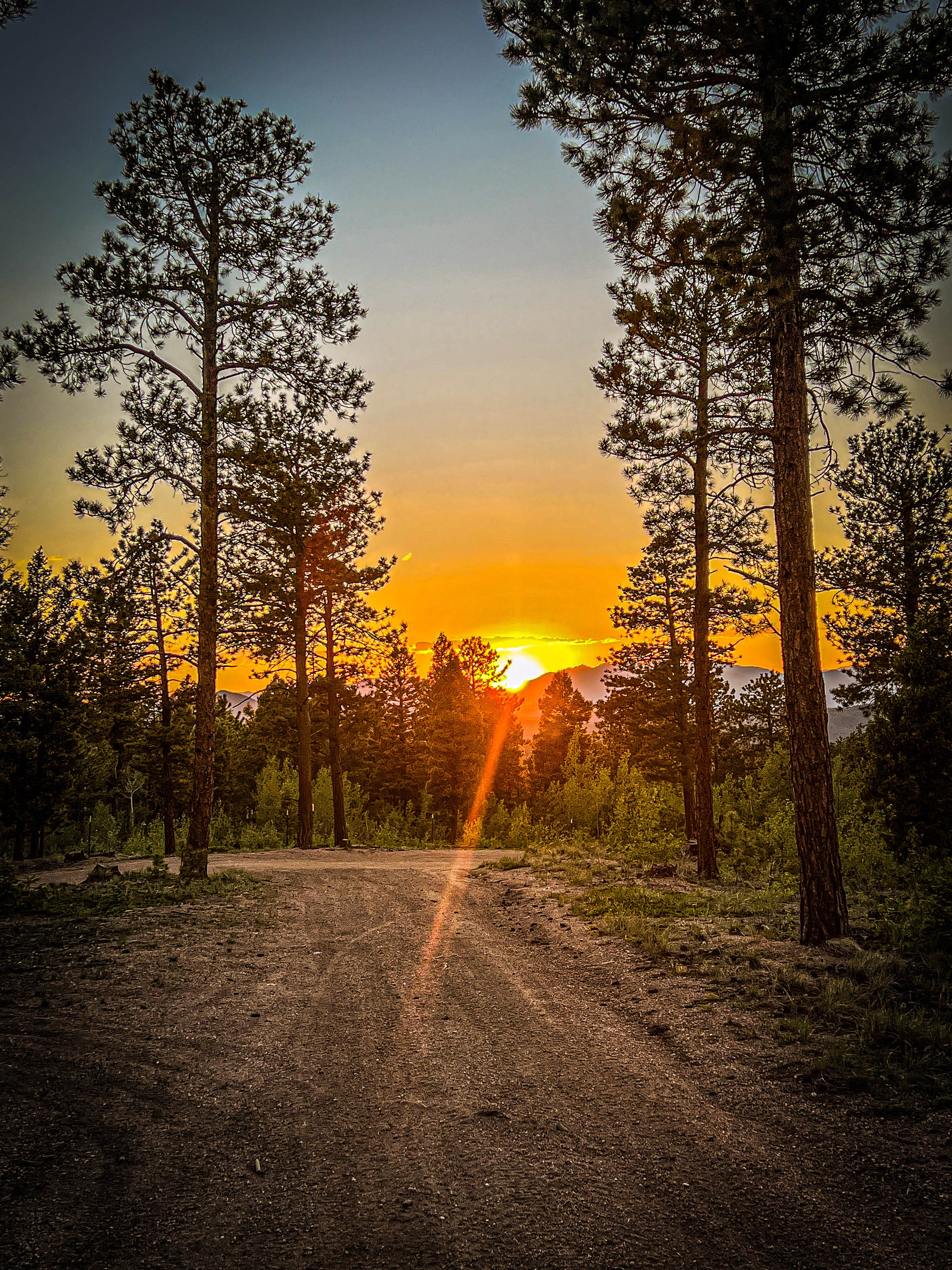 Camper submitted image from Dispersed Camping - Pike National Forest Divide - 5