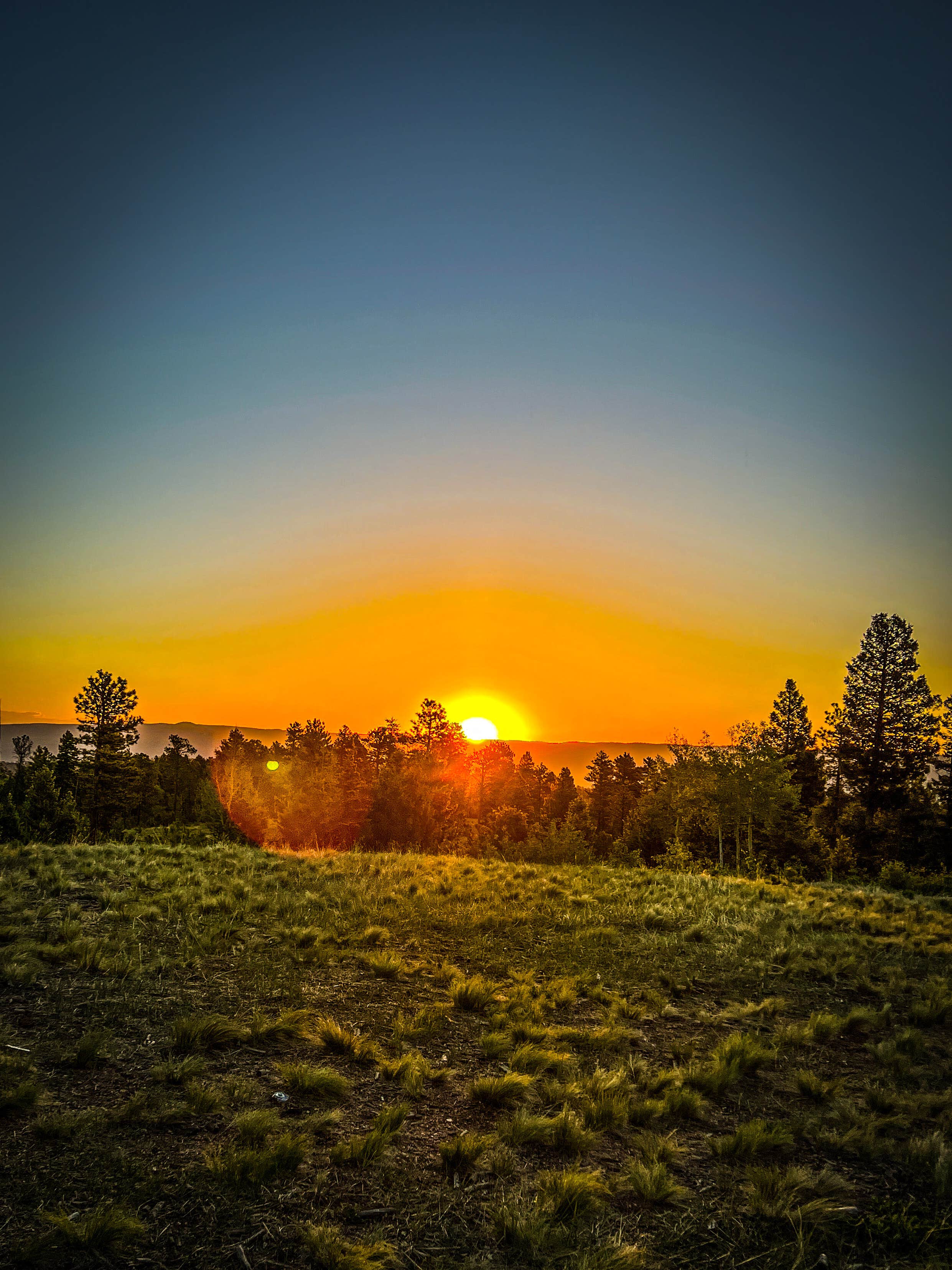 Camper submitted image from Dispersed Camping - Pike National Forest Divide - 2