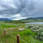 Review photo of Henry's Lake BLM Dispersed by Julia F., June 24, 2022