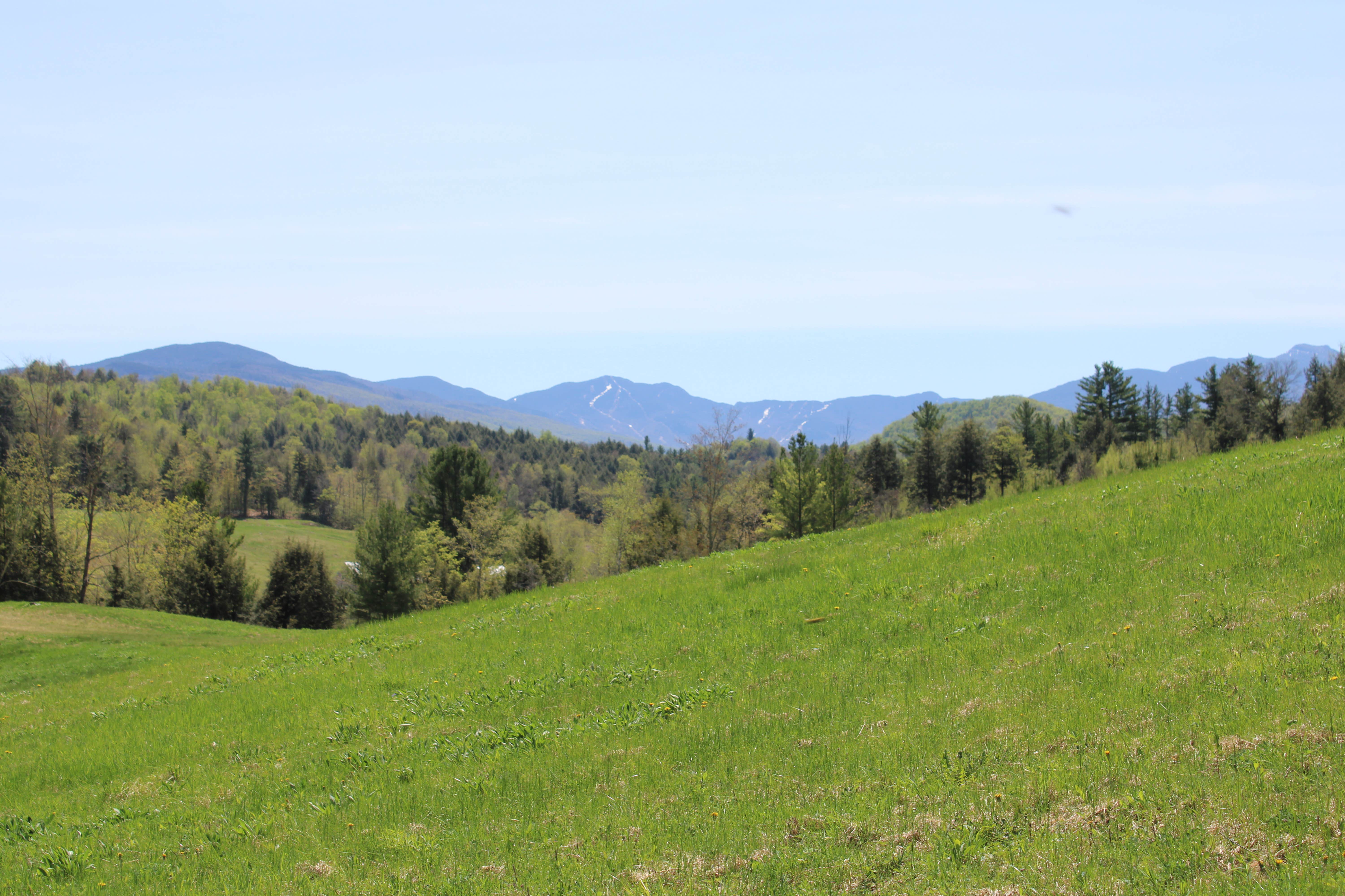 Black Creek Maple's Nature Escape and Tent Haven