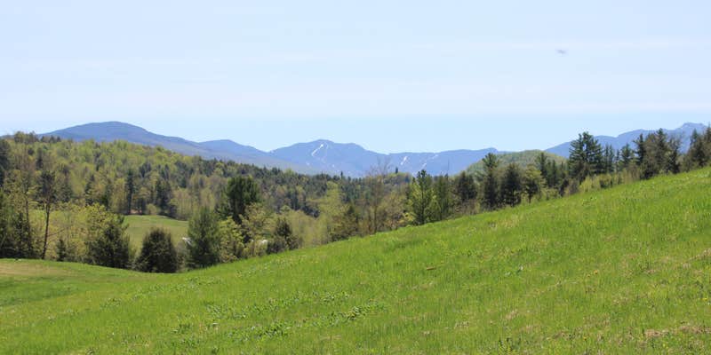 Camper submitted image from Black Creek Maple's Nature Escape and Tent Haven