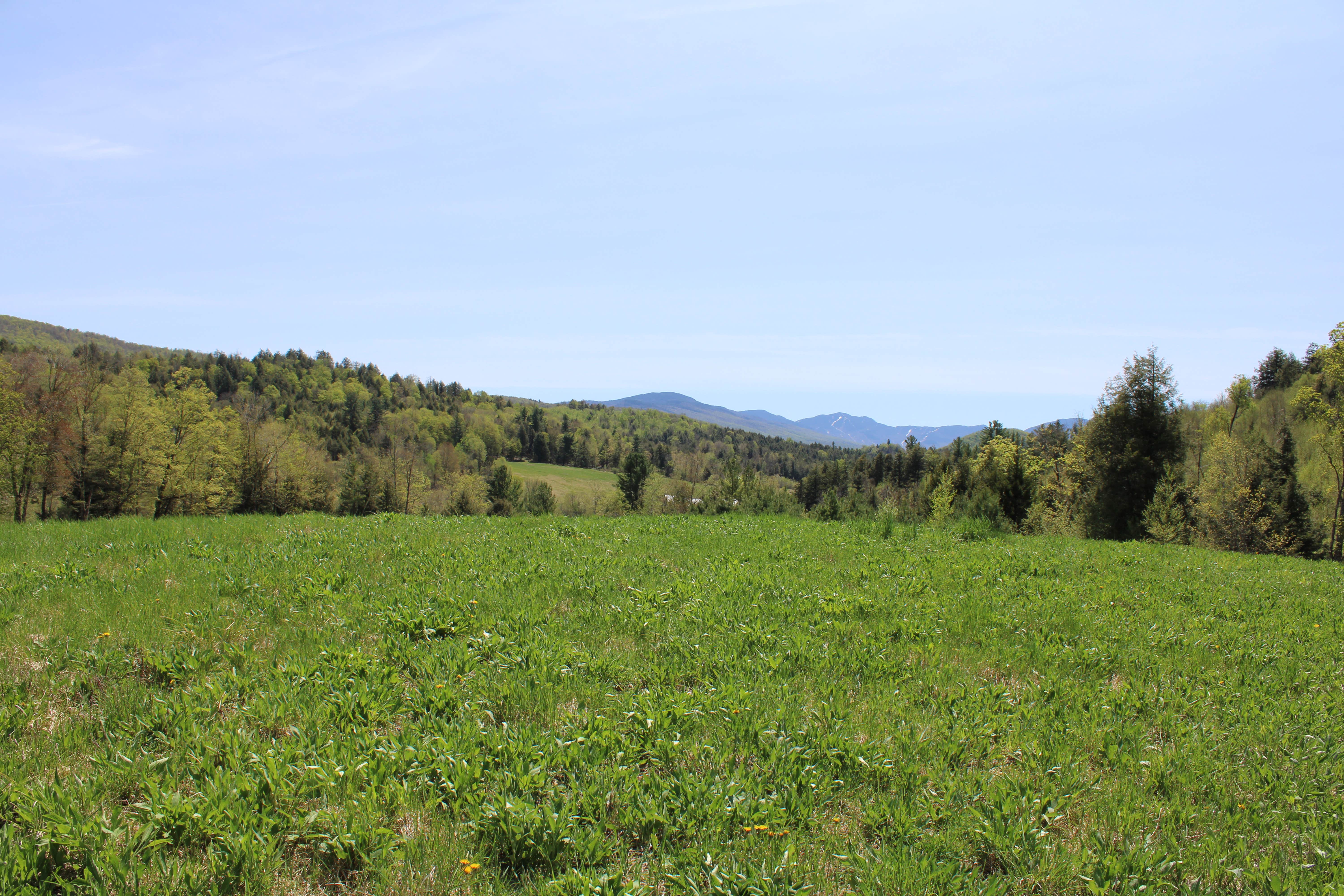 Camper-submitted photo at Black Creek Maple's Nature Escape and Tent Haven near Eden Mills, VT