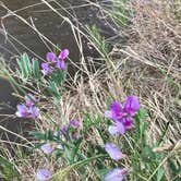 Review photo of Villanueva State Park Campground by Susan L., June 25, 2022