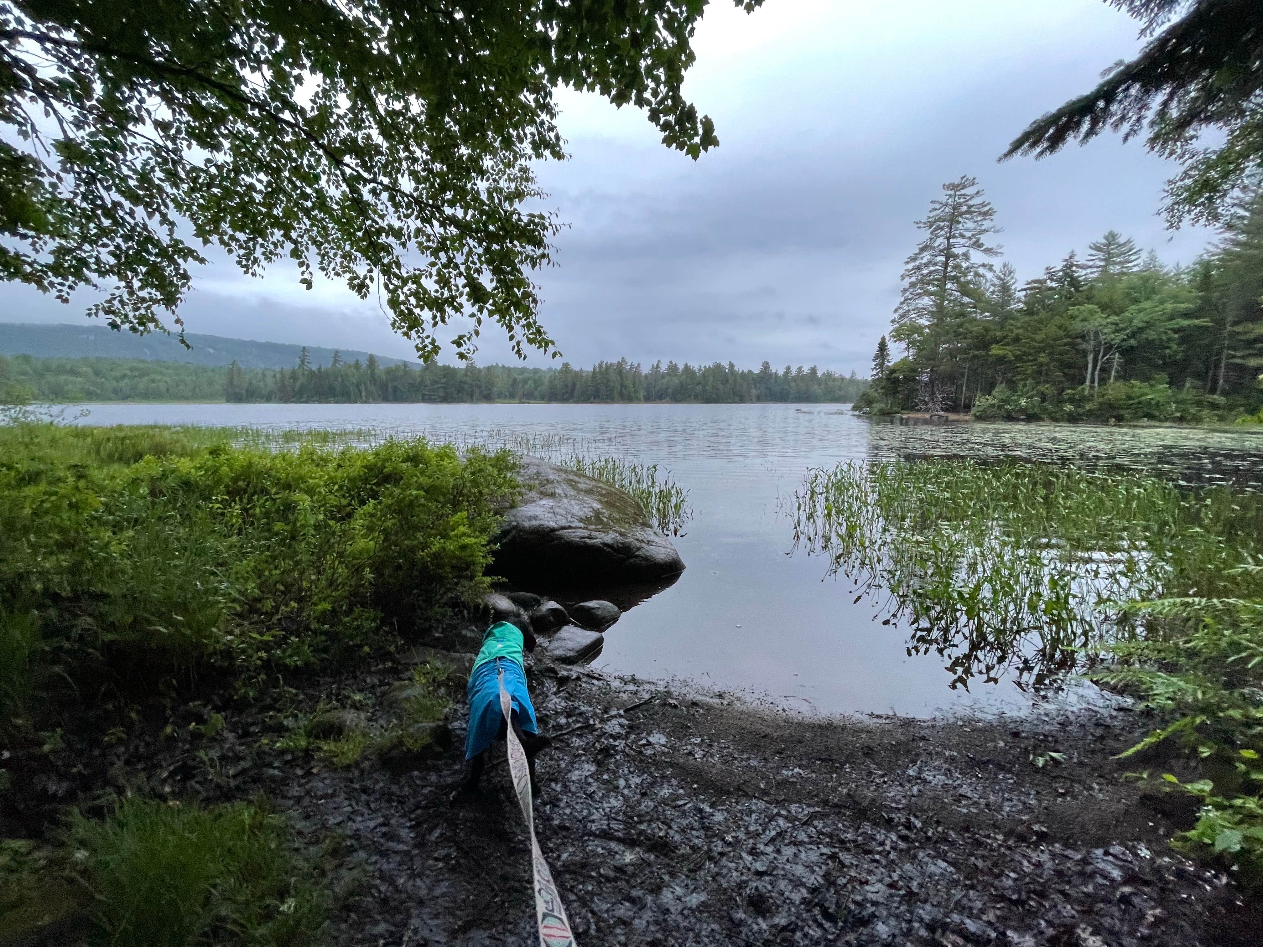 Camper-submitted photo at Lake Durant Campground near Blue Mountain Lake, NY