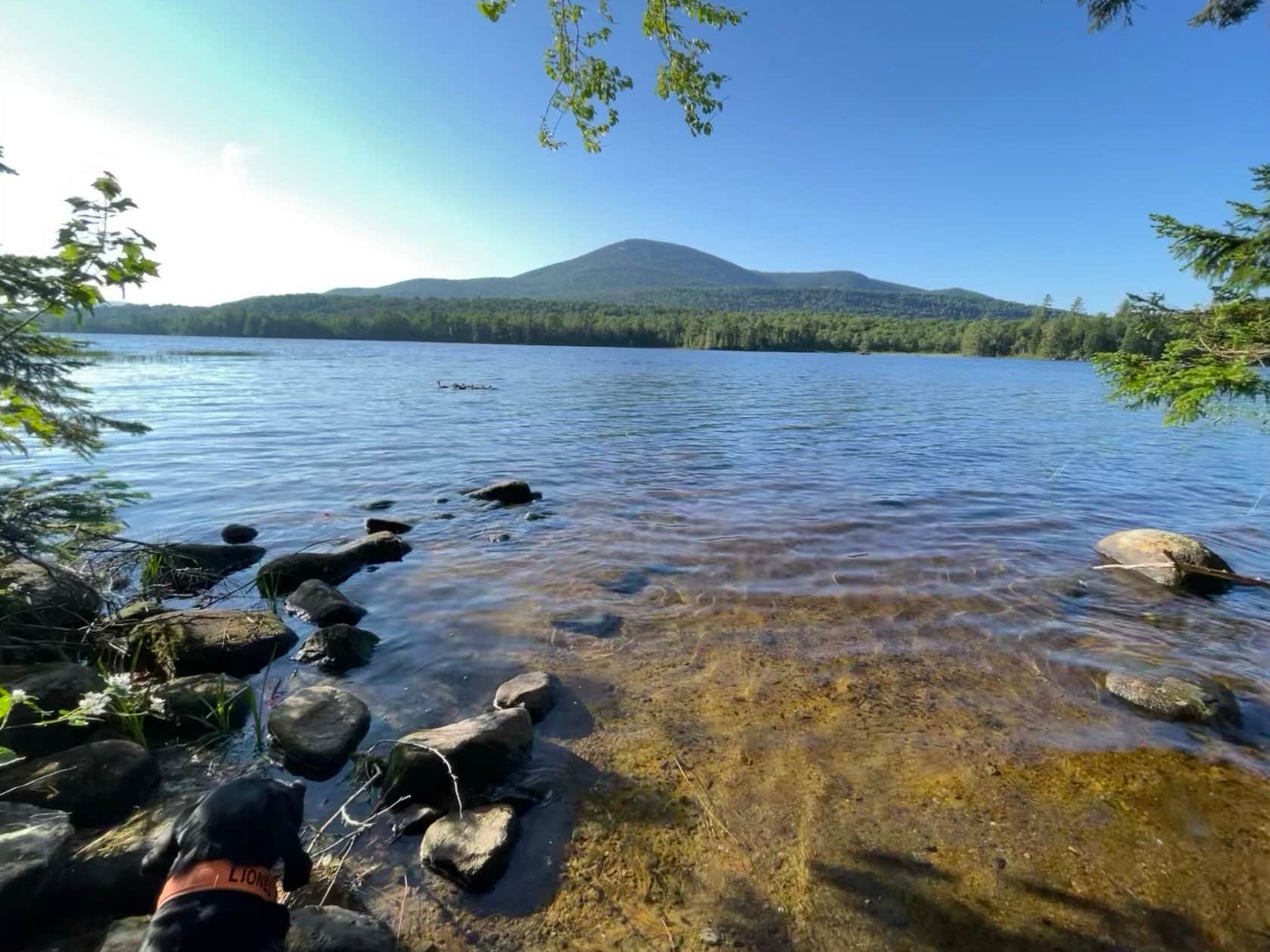 Camper-submitted photo at Lake Durant Campground near Blue Mountain Lake, NY