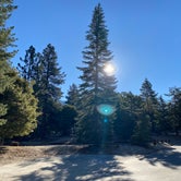 Review photo of Thousand Trails Idyllwild by Time4Dirt , June 25, 2022