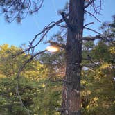 Review photo of Thousand Trails Idyllwild by Time4Dirt , June 25, 2022